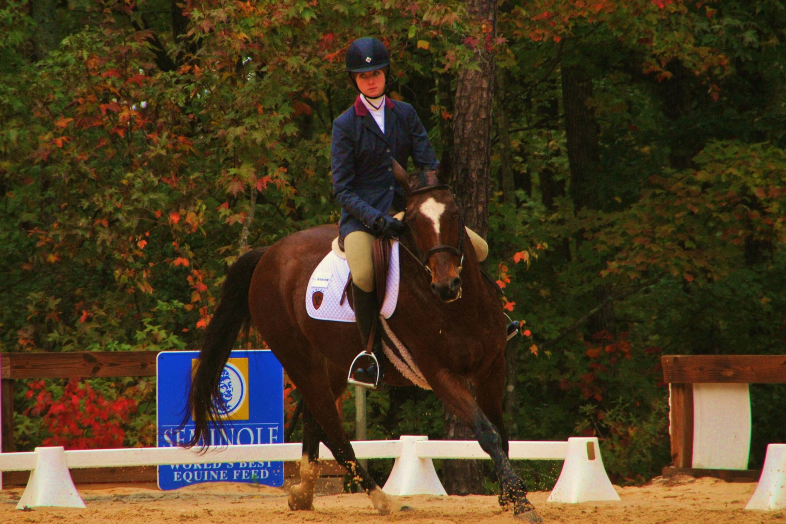 Equestrian vs. Georgia (11/4/2011)