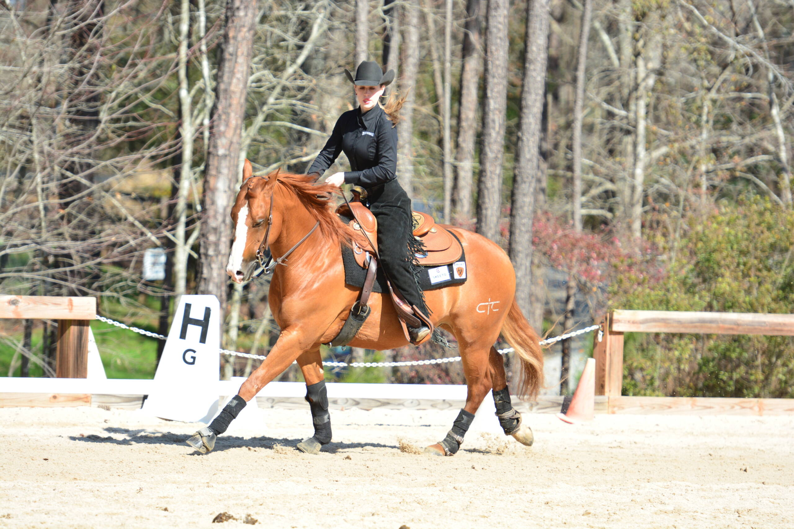 Equestrian vs. Georgia (2/6/2016)