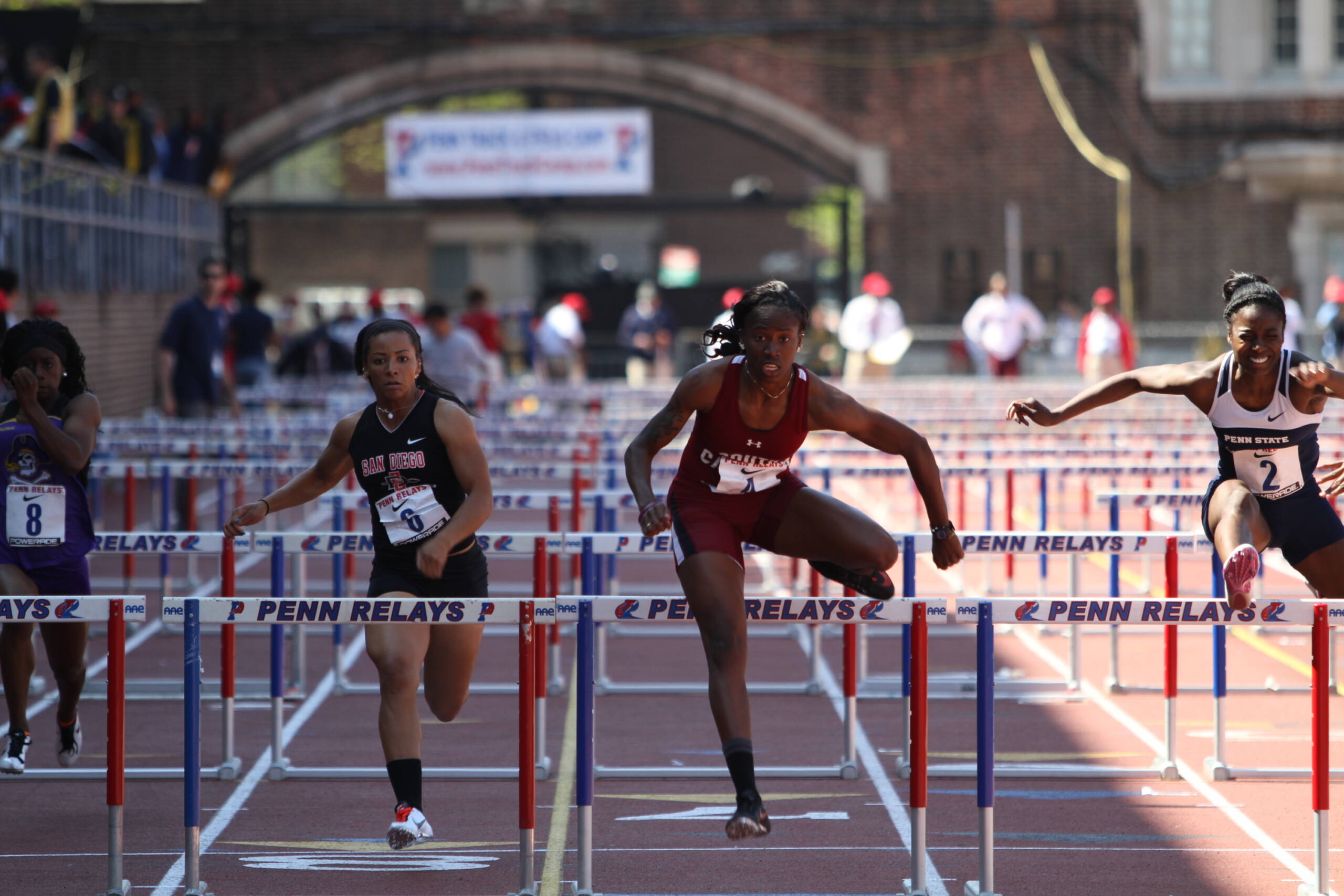 South Carolina at Penn Relays (4/27/13)