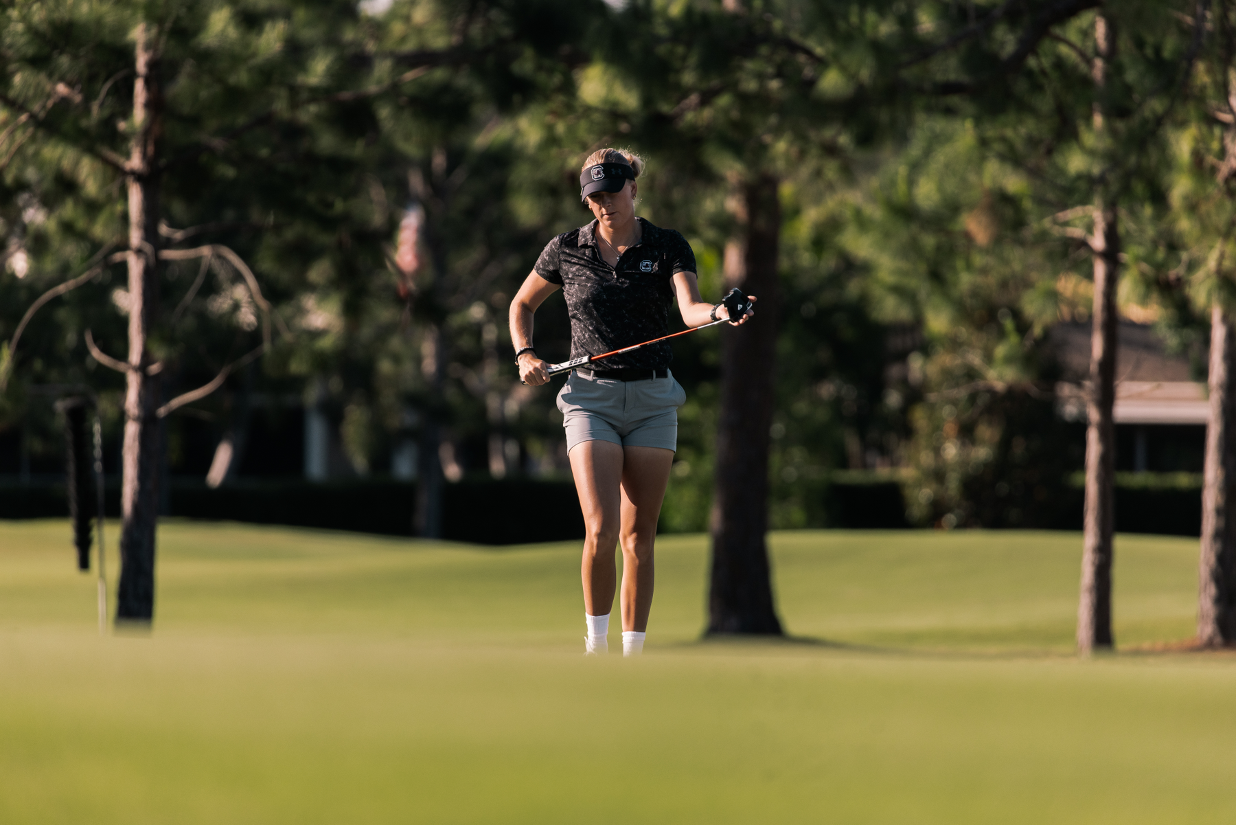 Gamecock Trio Earns Golfweek All-America Honors