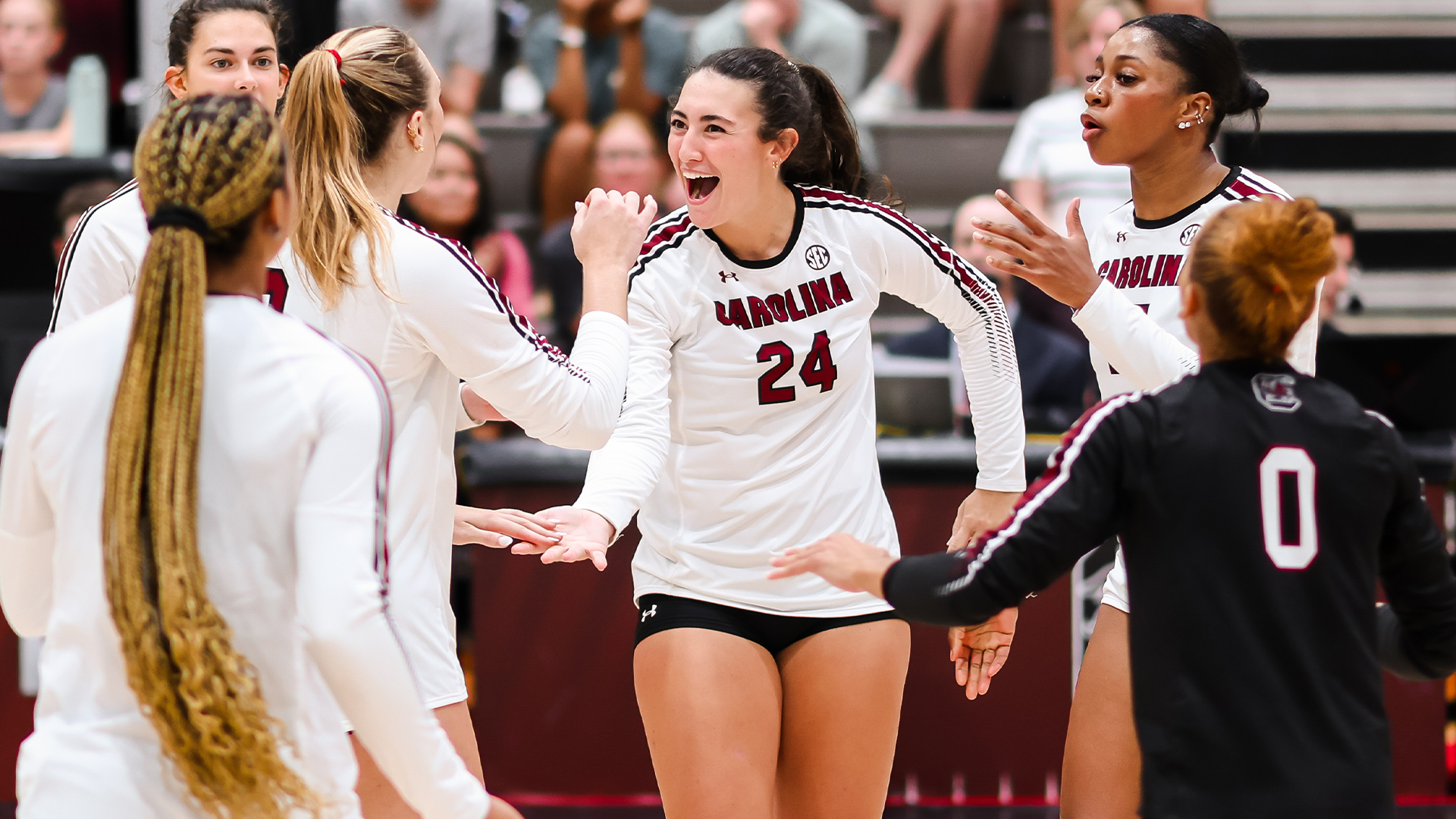 South Carolina Sweeps ETSU in Noble’s First Win with the Gamecocks