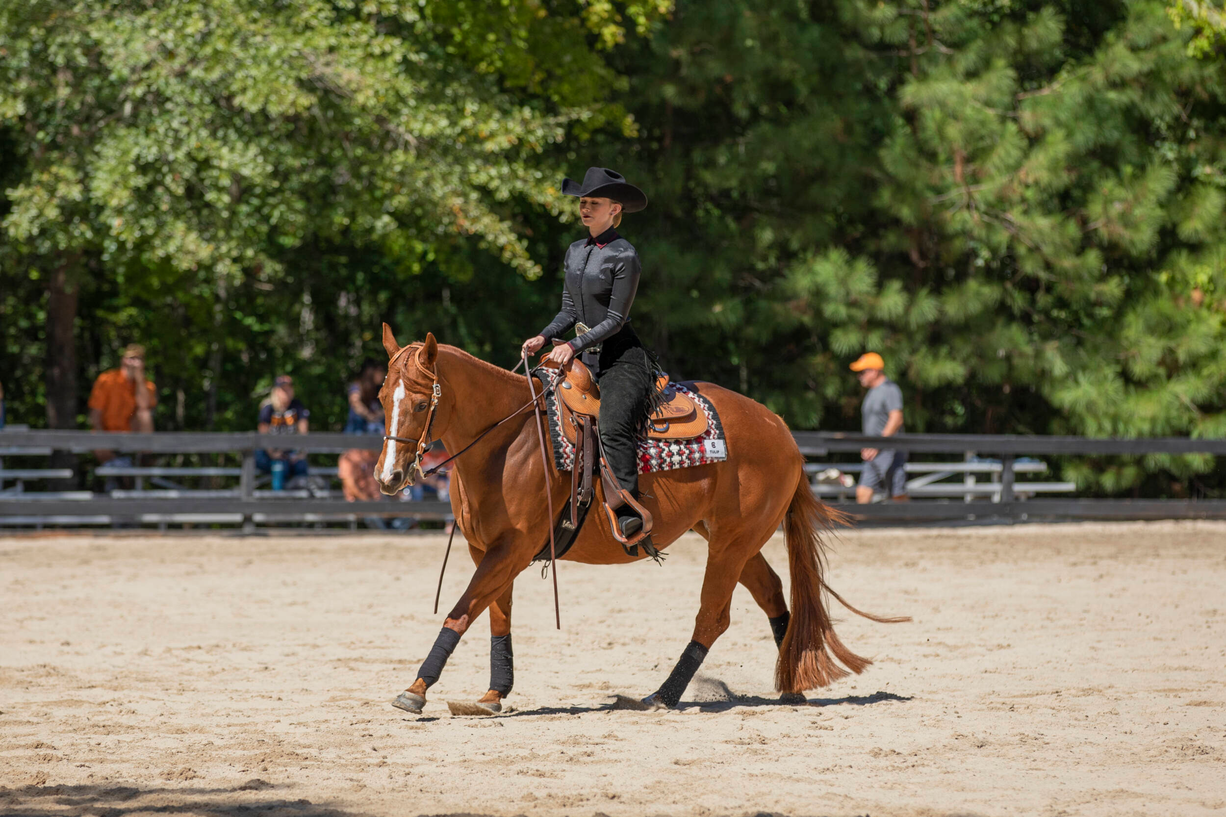 Tierney Horton Named SEC Horsemanship Co-Rider of the Month