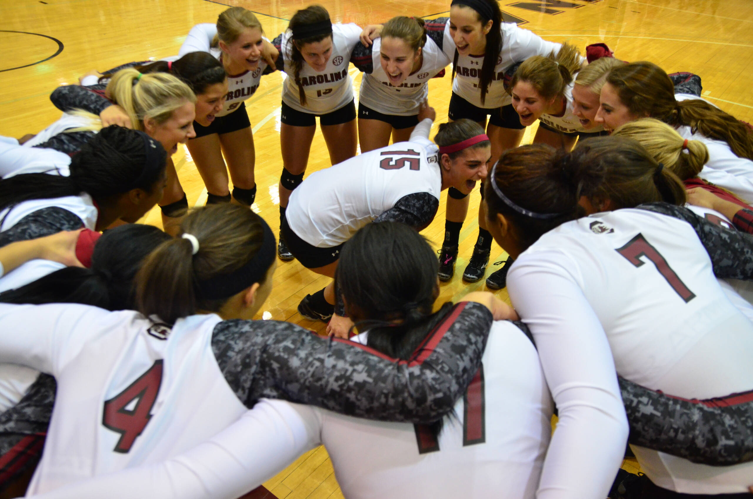 South Carolina vs. Alabama - 11/15/13