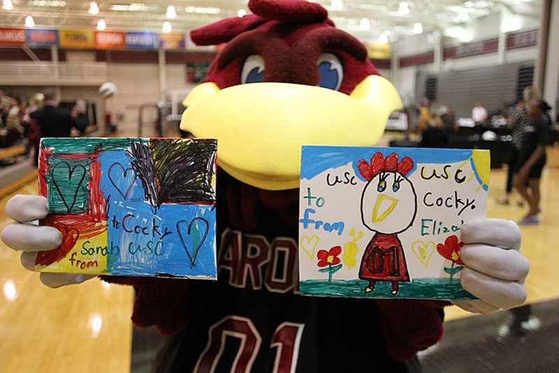 South Carolina vs. LSU - 11/24/13