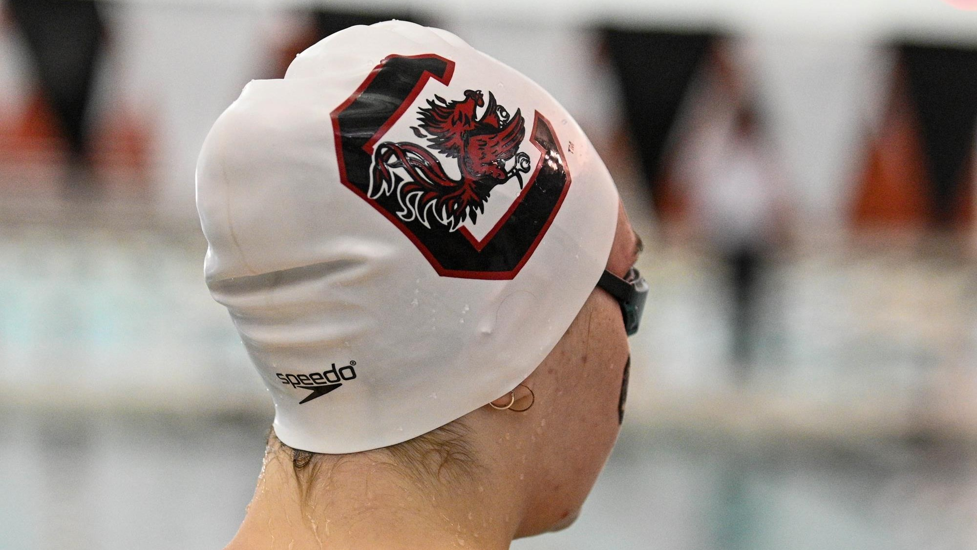 Gamecocks Drop Dual Meet in Athens