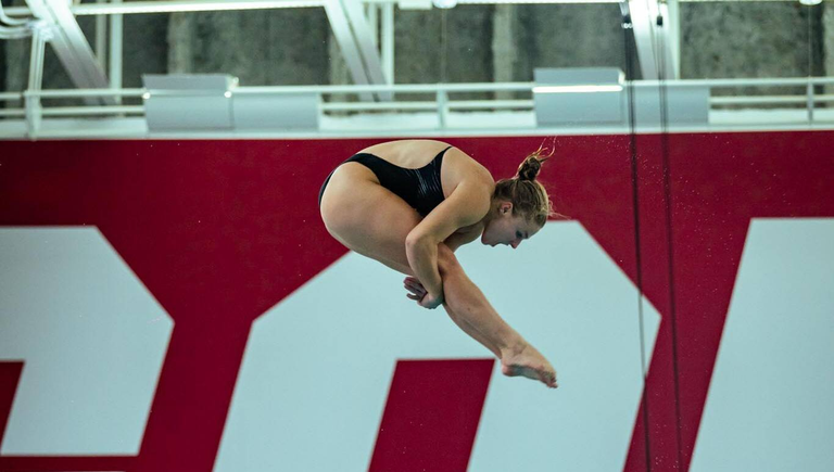 University of South Carolina Athletics