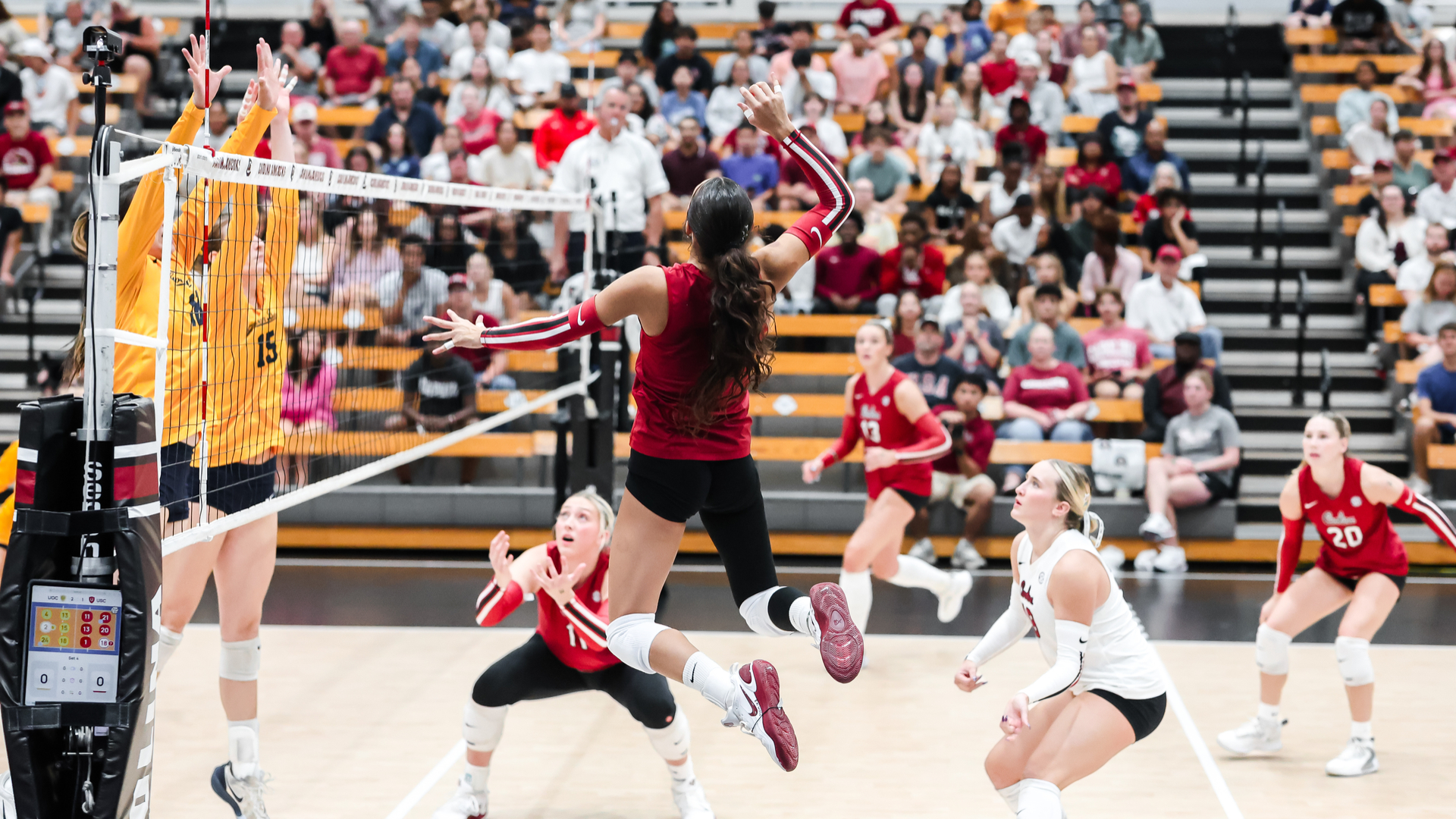 Gamecocks Fall to Cal on Tuesday Night