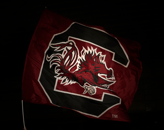 Simon Gyllensten - Track and Field - University of South Carolina Athletics