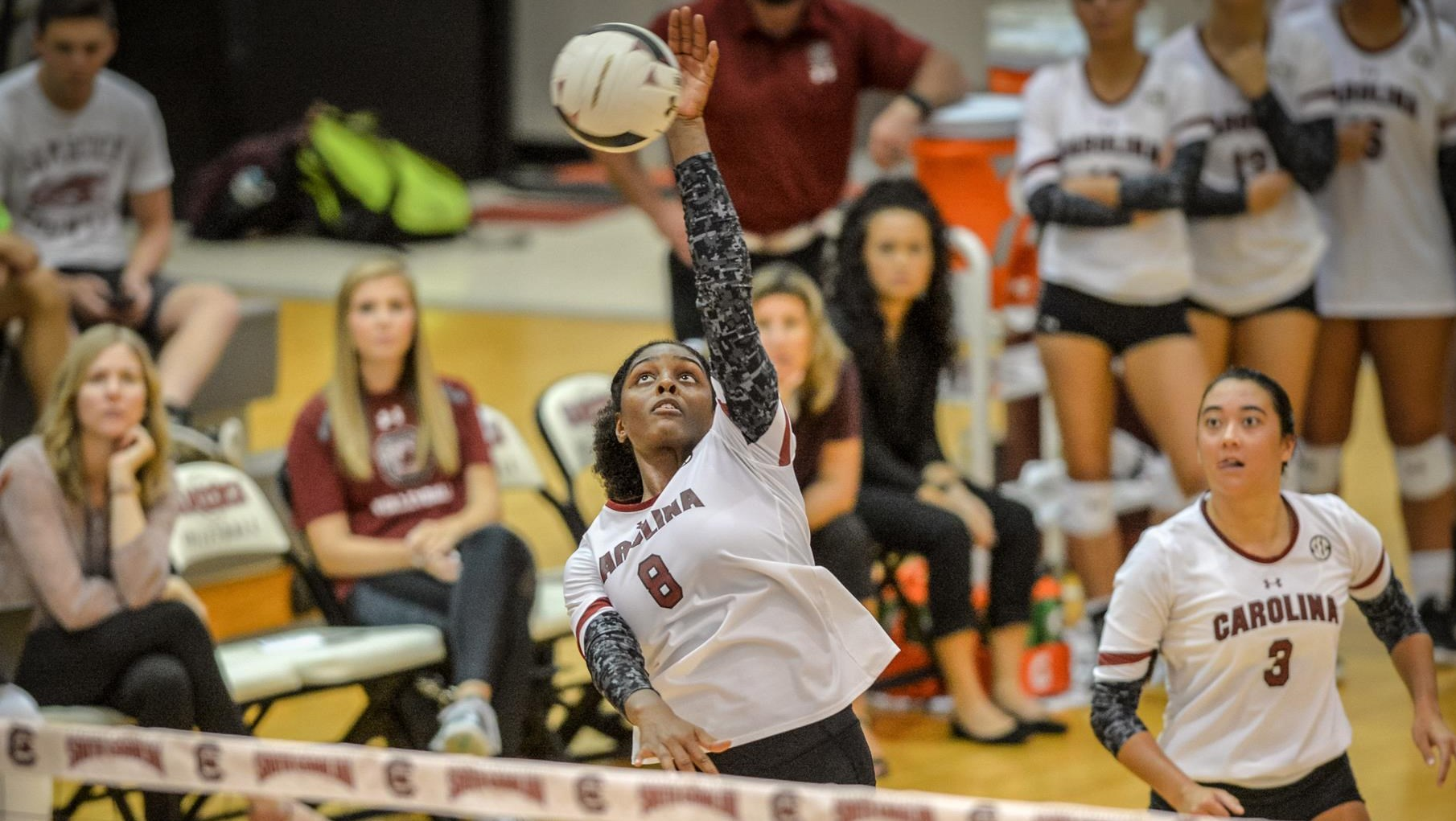 Volleyball Falls at Tennessee