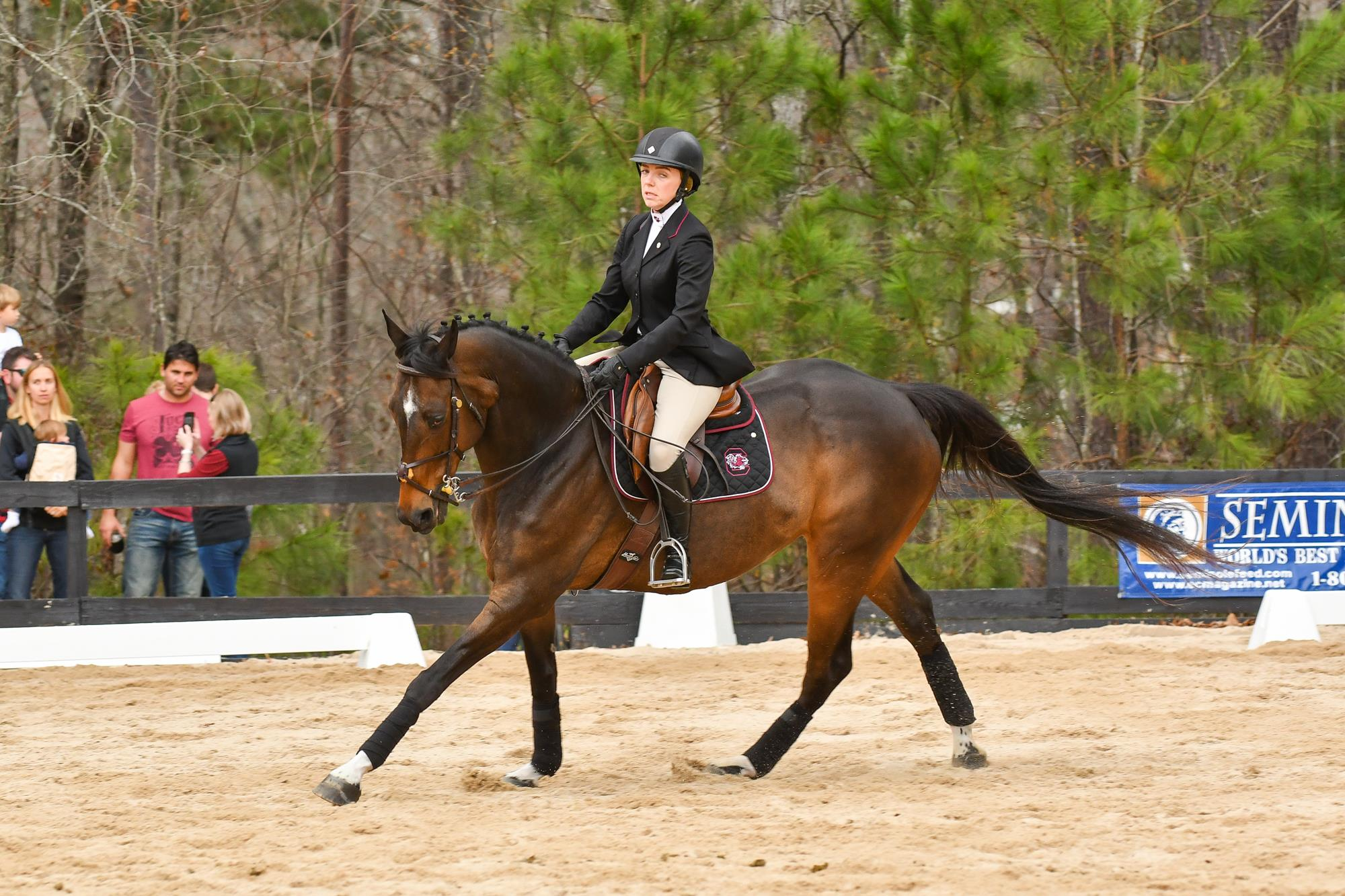 Ollie Earns NCEA Horse of the Month