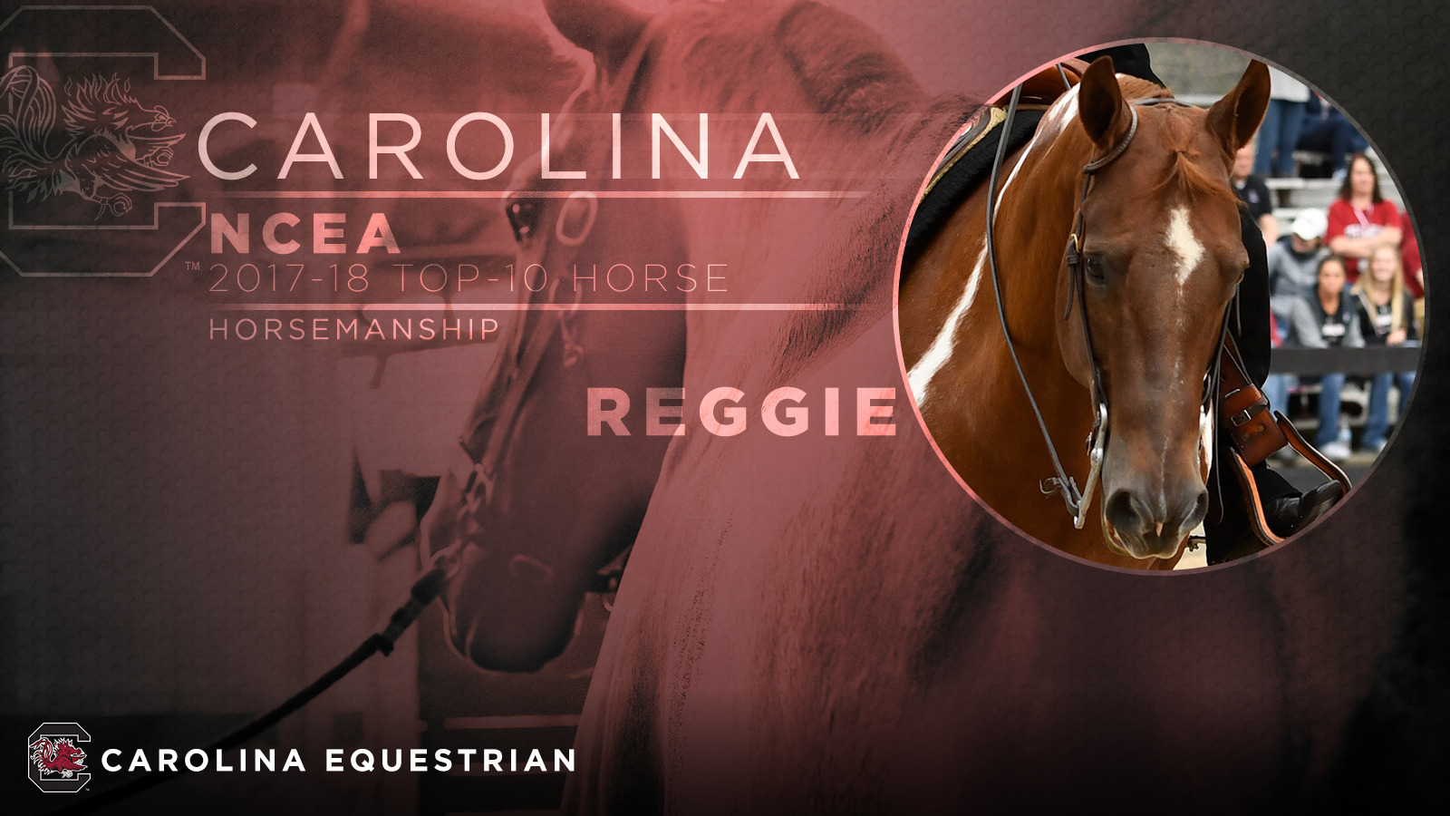 NCEA Honors Reggie as Top-10 Horse