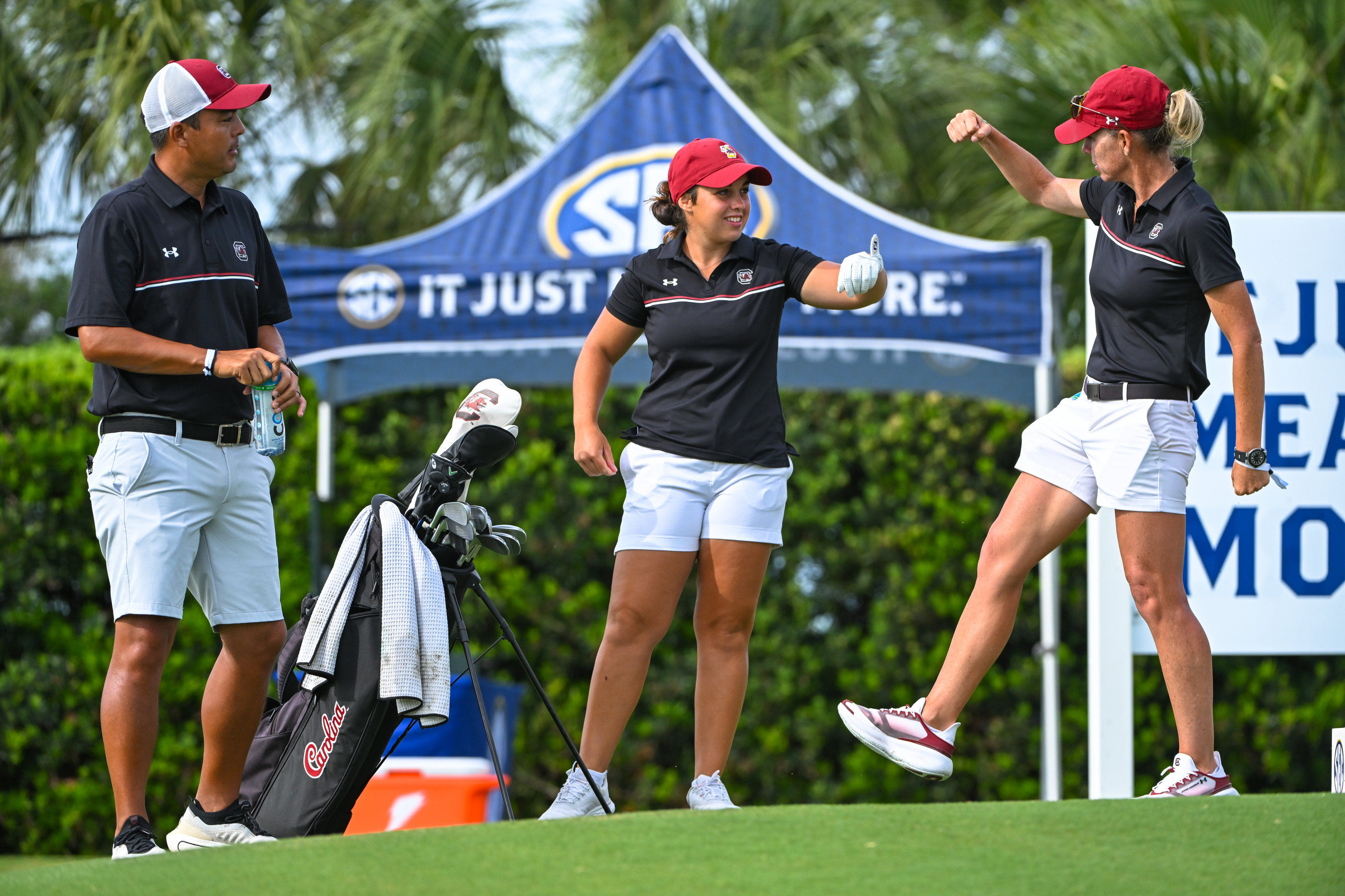 No. 24 South Carolina's Quartet Begins NCAA Regionals Monday