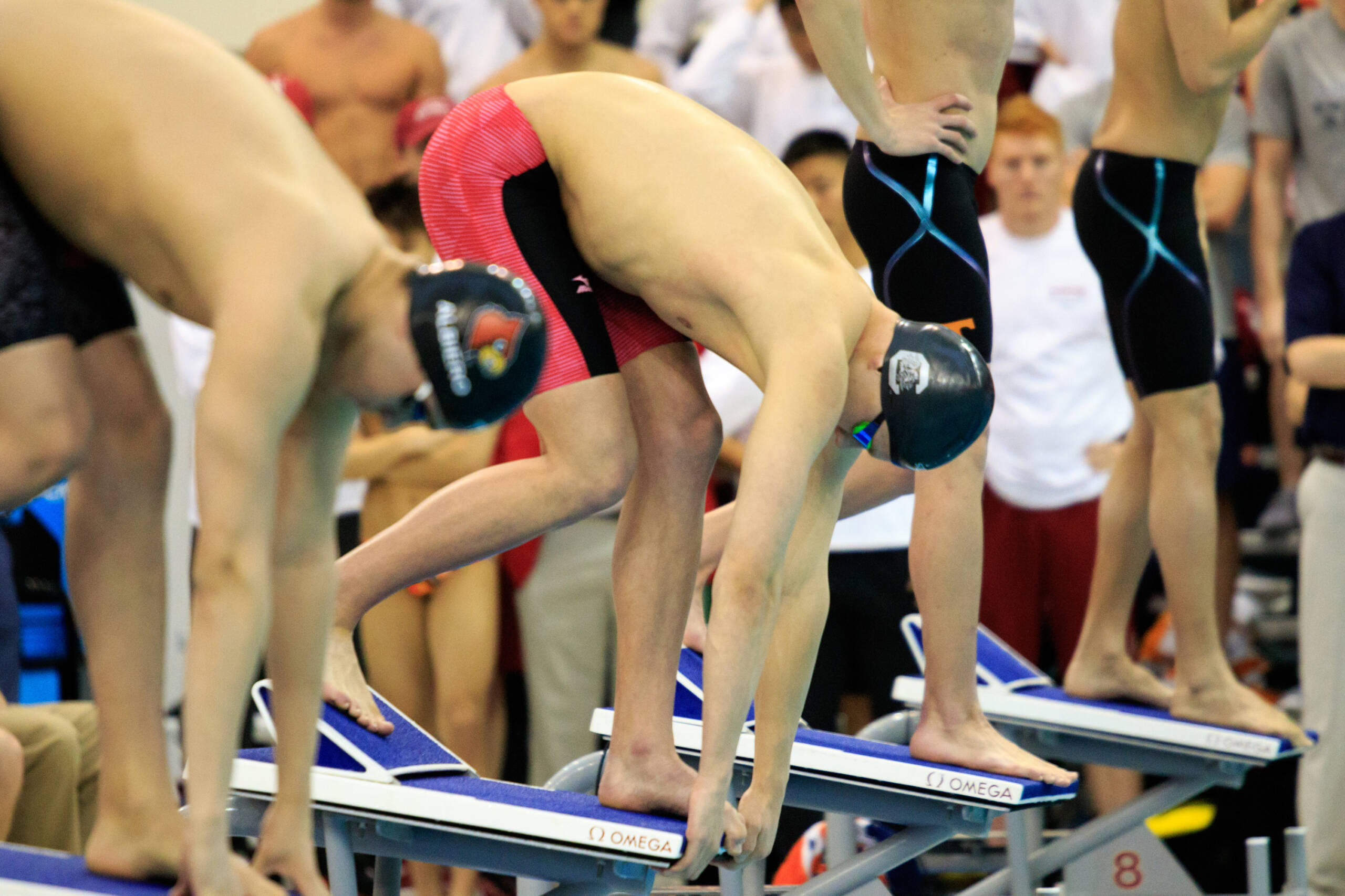 Gamecocks Open NCAAs with 800 Freestyle Relay
