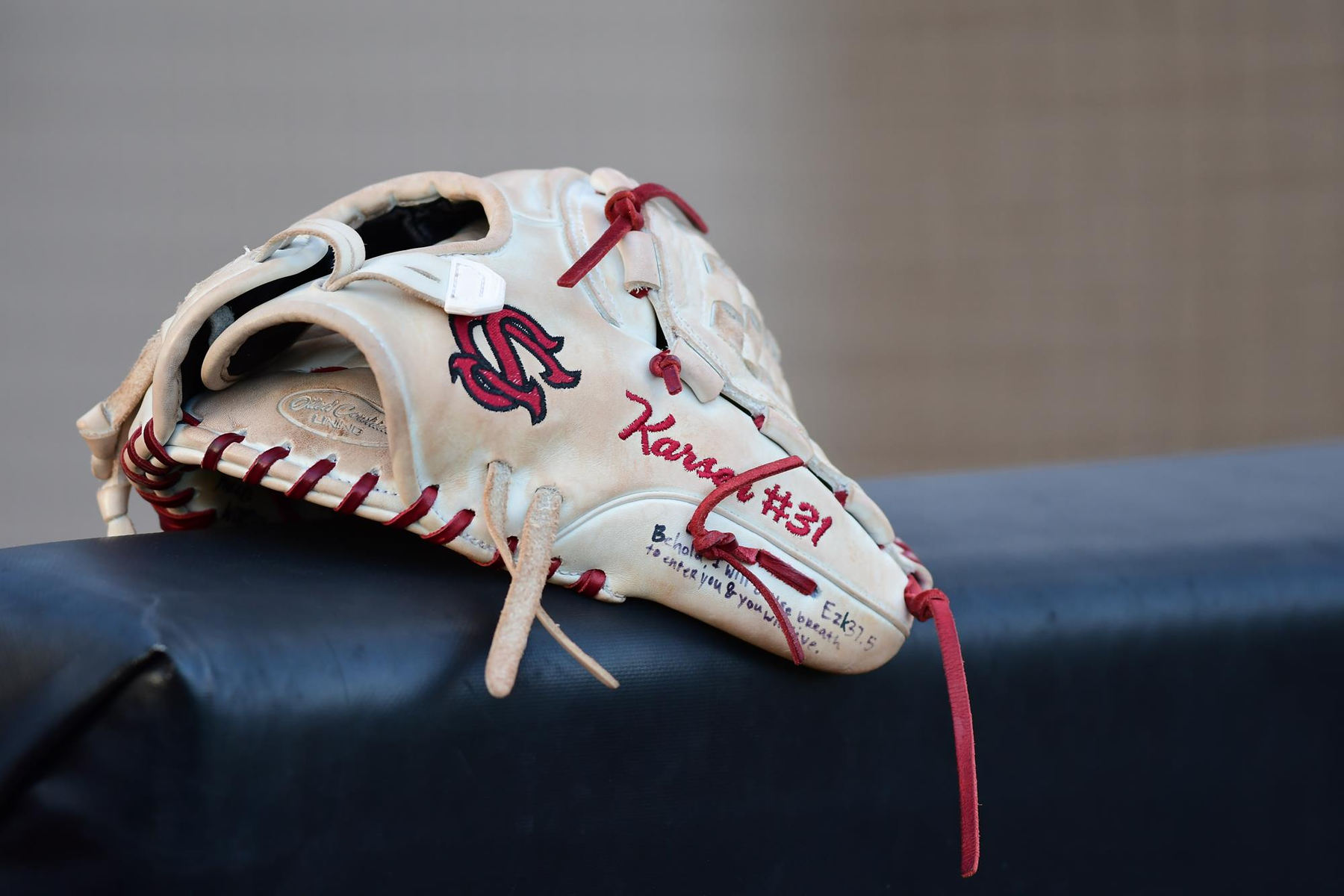 Softball Announces Updates On Alex Fulmer And Haley Simpson