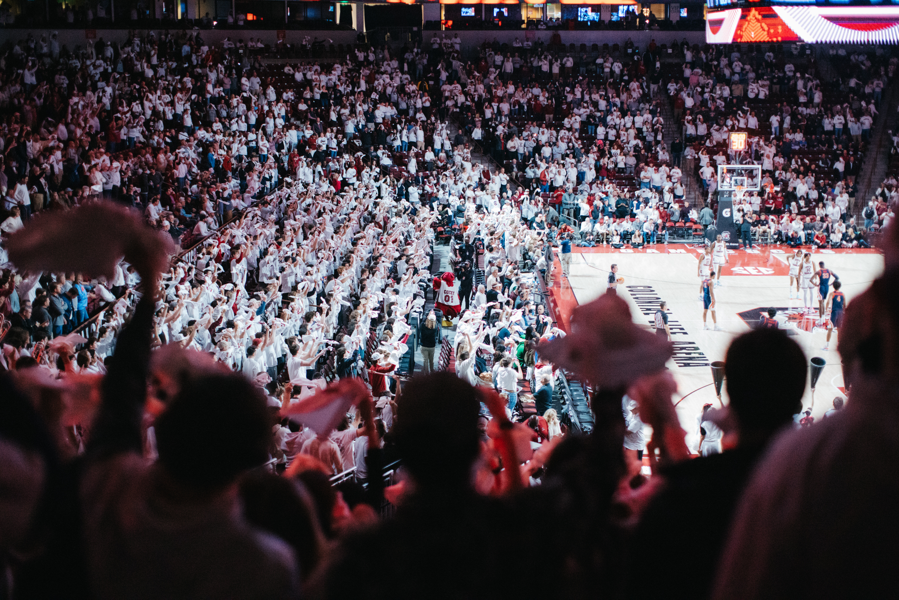 Gamecocks Back Home This Week, Host No. 19/21 Florida Wednesday