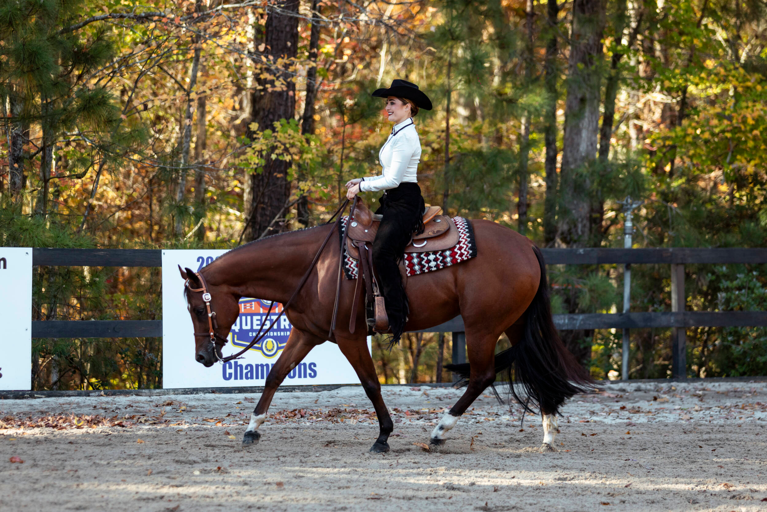 Alexis Potts Named NCEA Rider of the Year