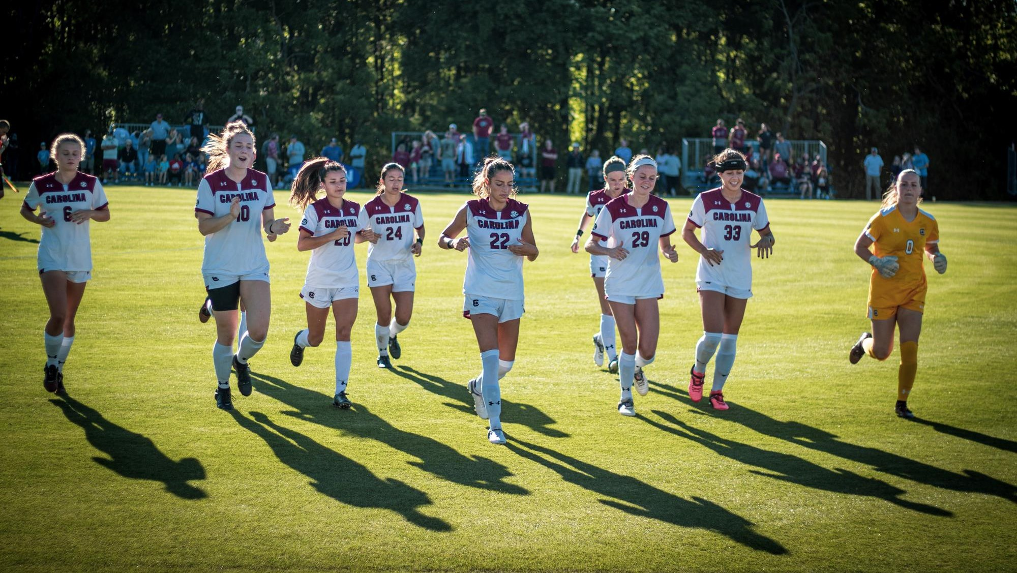 Gamecocks' Season Ends in NCAA Tournament Second Round