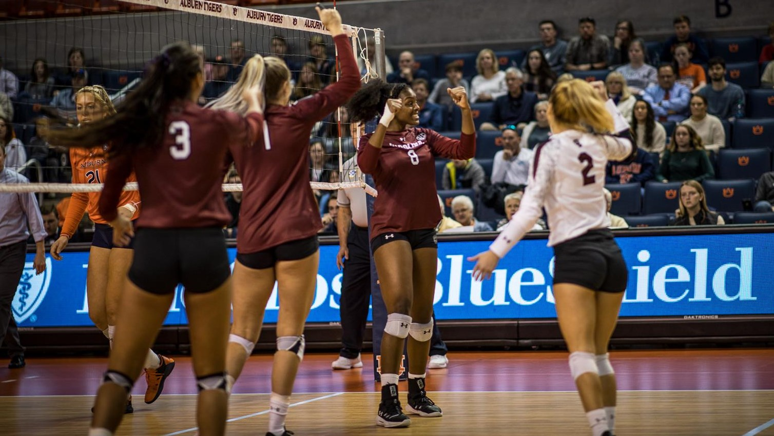 Gamecocks Cap Final Road Trip With Sweep at Auburn