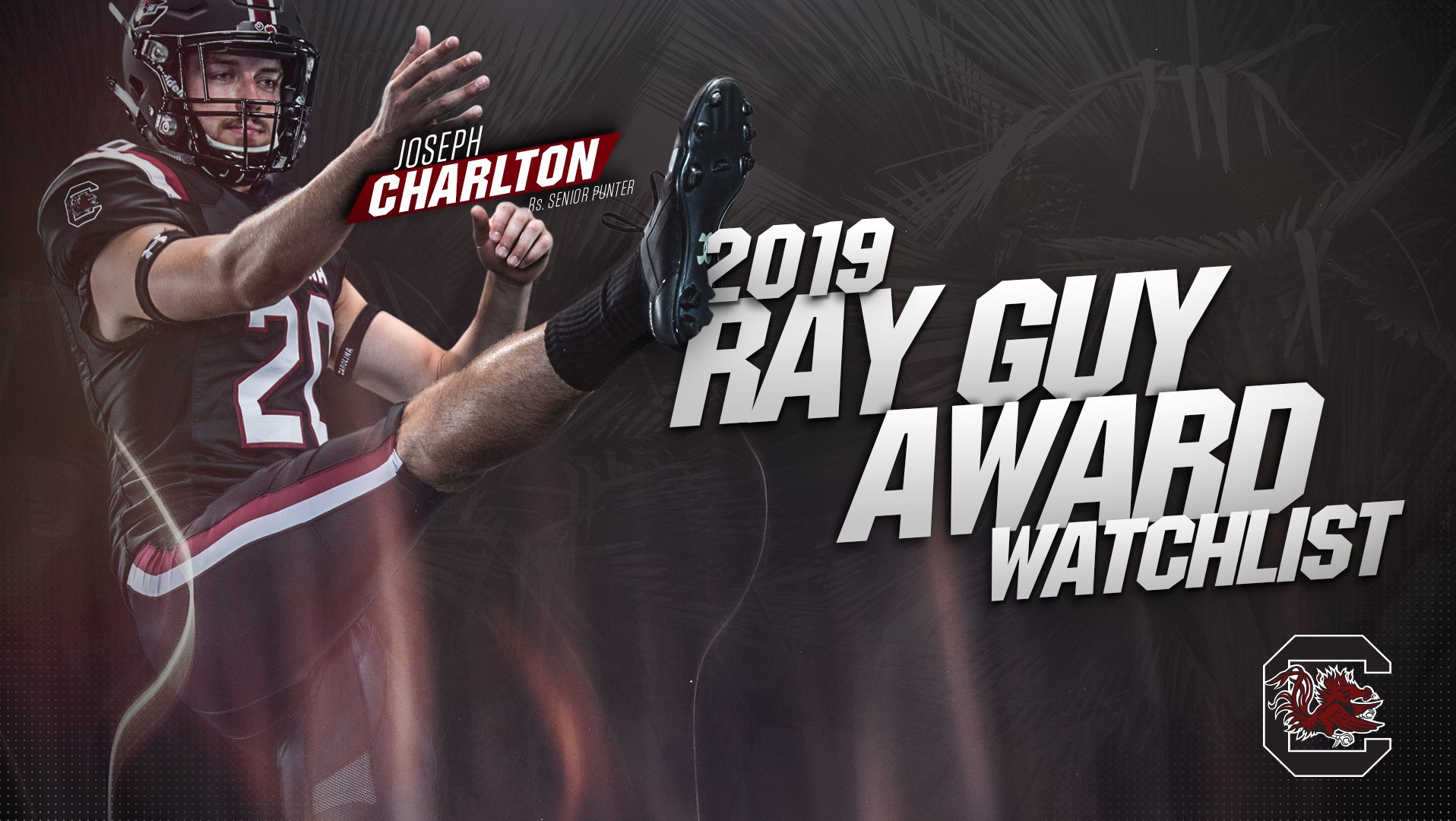 Charlton Named to 2019 Ray Guy Preseason Watch List