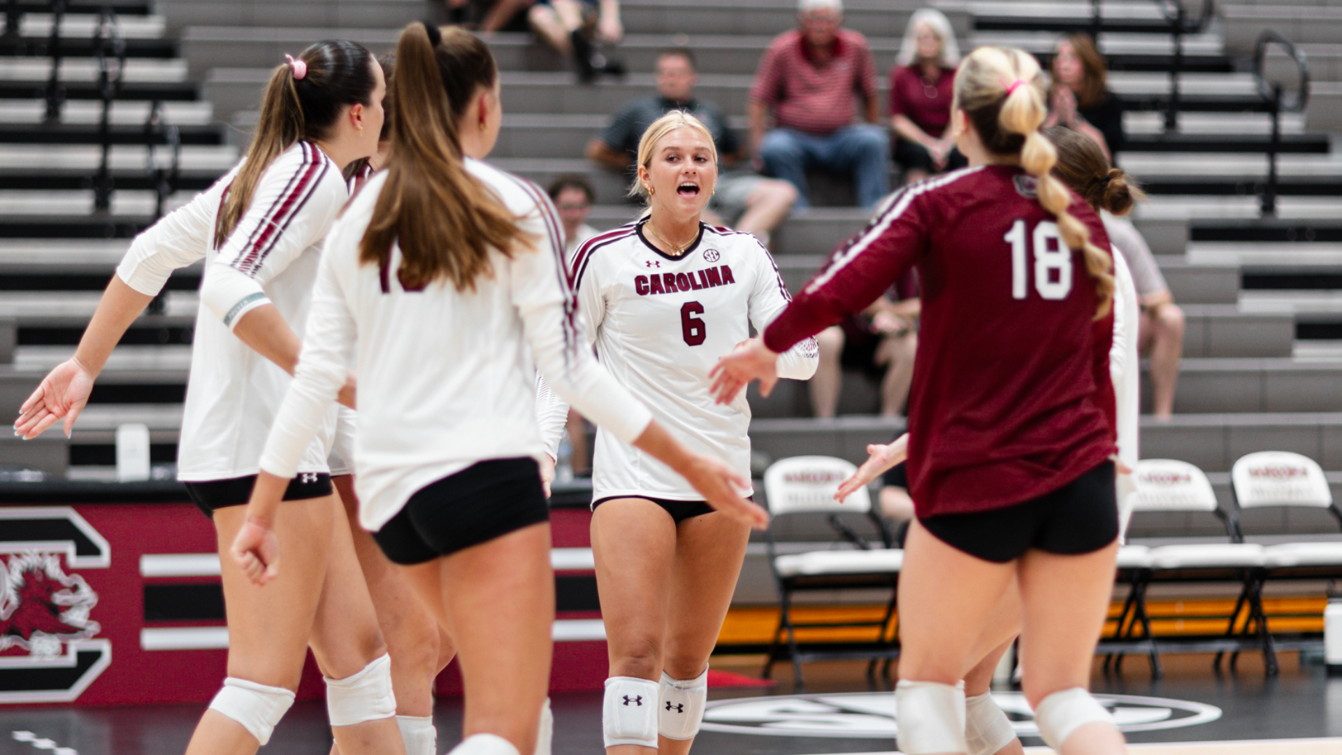 Two Chances to See Gamecock Volleyball in Action This Week