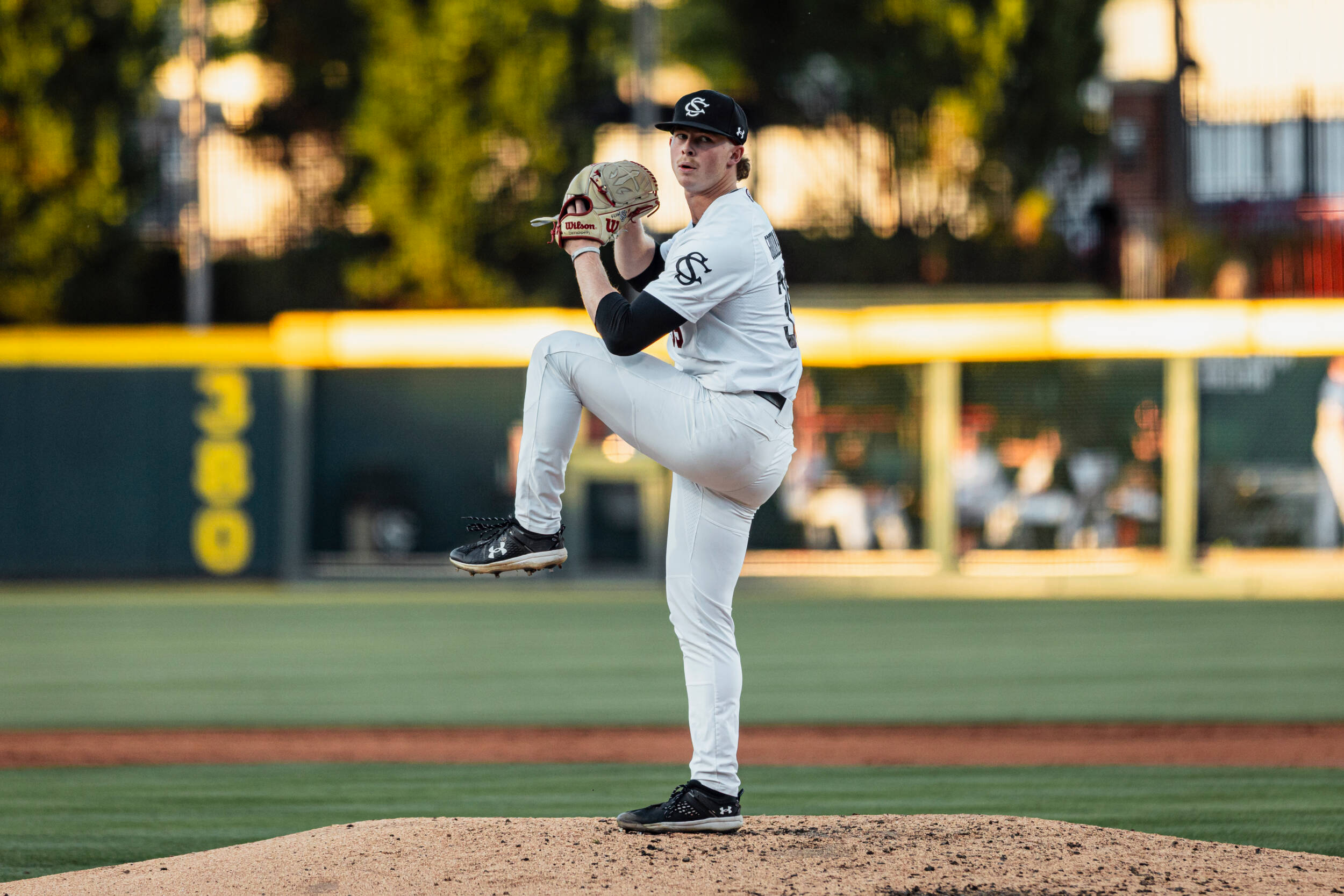 Baseball Falls to the College of Charleston – University of South ...