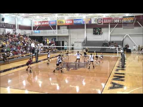 Highlights: South Carolina Volleyball vs. No. 7 Missouri - 2013