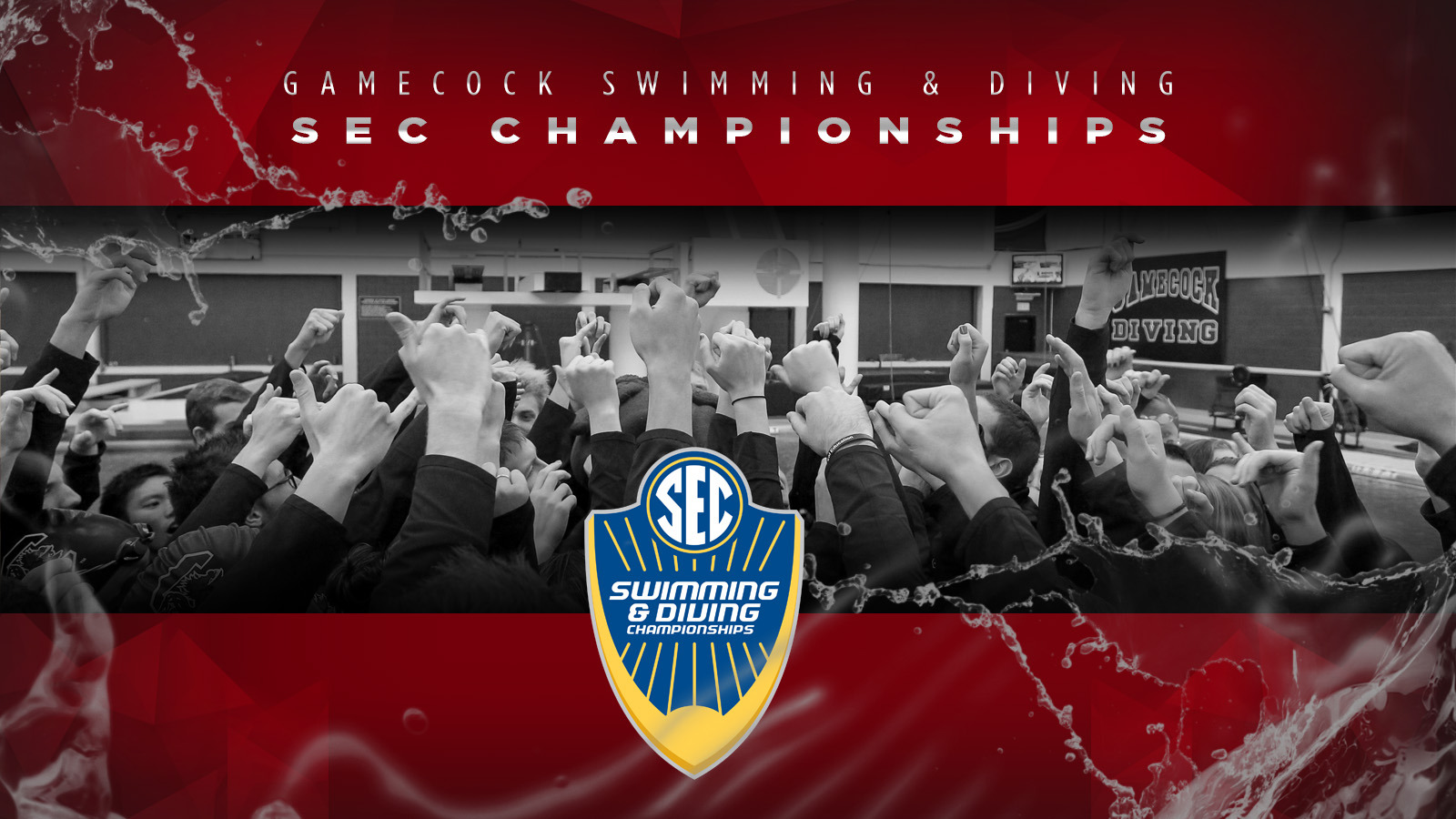 Swimming and Diving Travels to SEC Championships