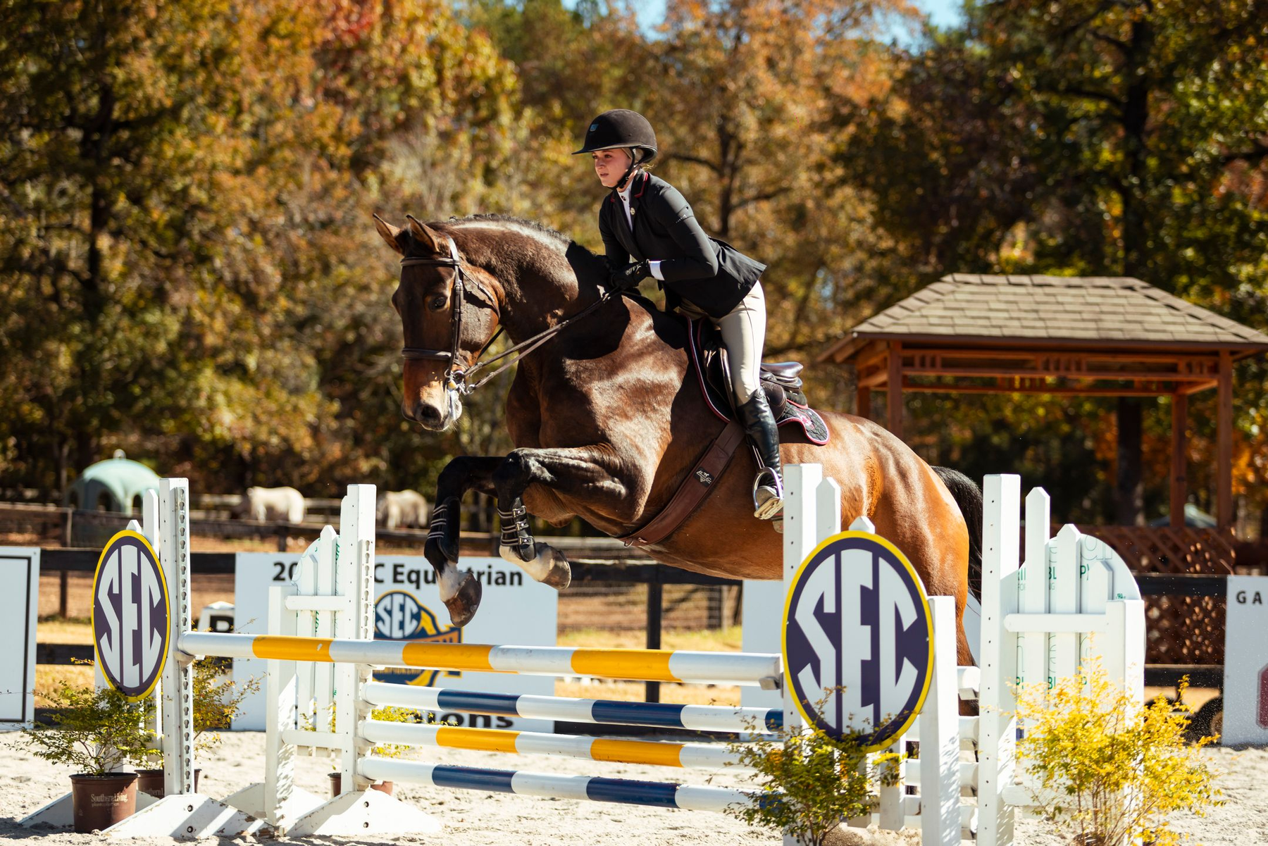Equestrian Opens Spring Home Slate with No. 1 Auburn