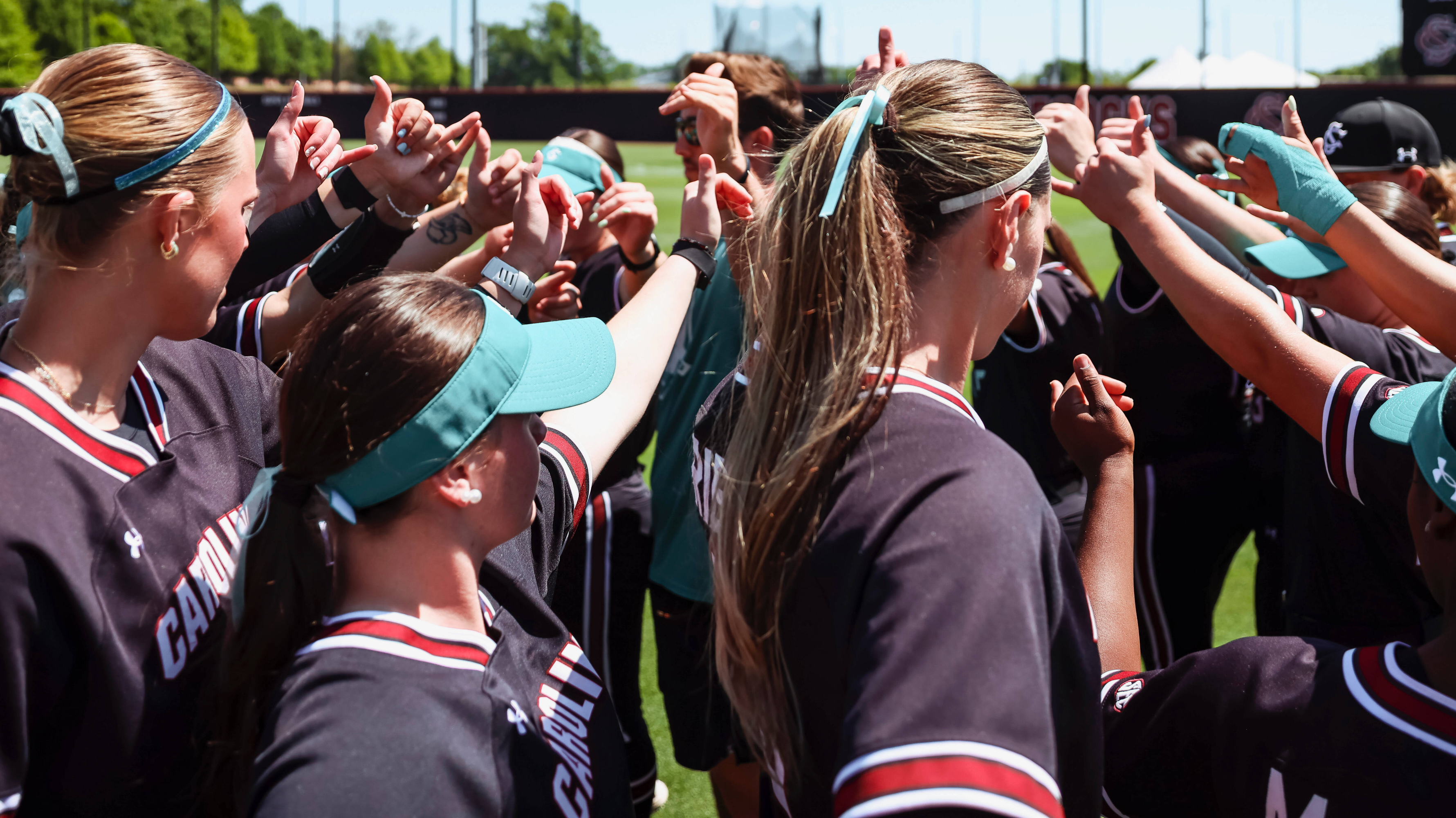 Softball Hosts Annual All for Alex Game, Falls to Gators