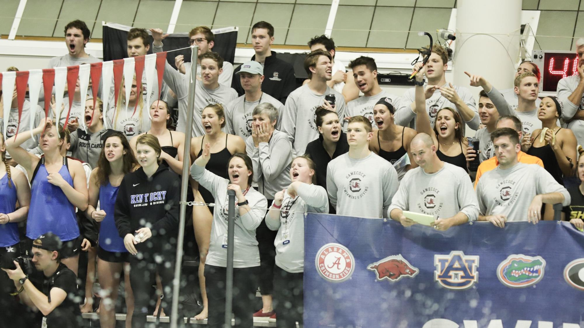 Swimming and Diving Named to CSCAA Scholar All-America Team.