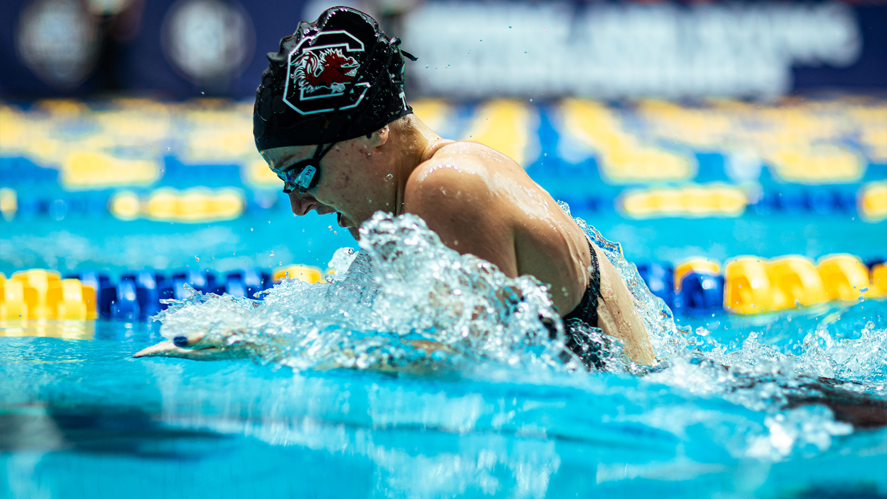 Gamecocks Return to Athens for Last Chance Meet