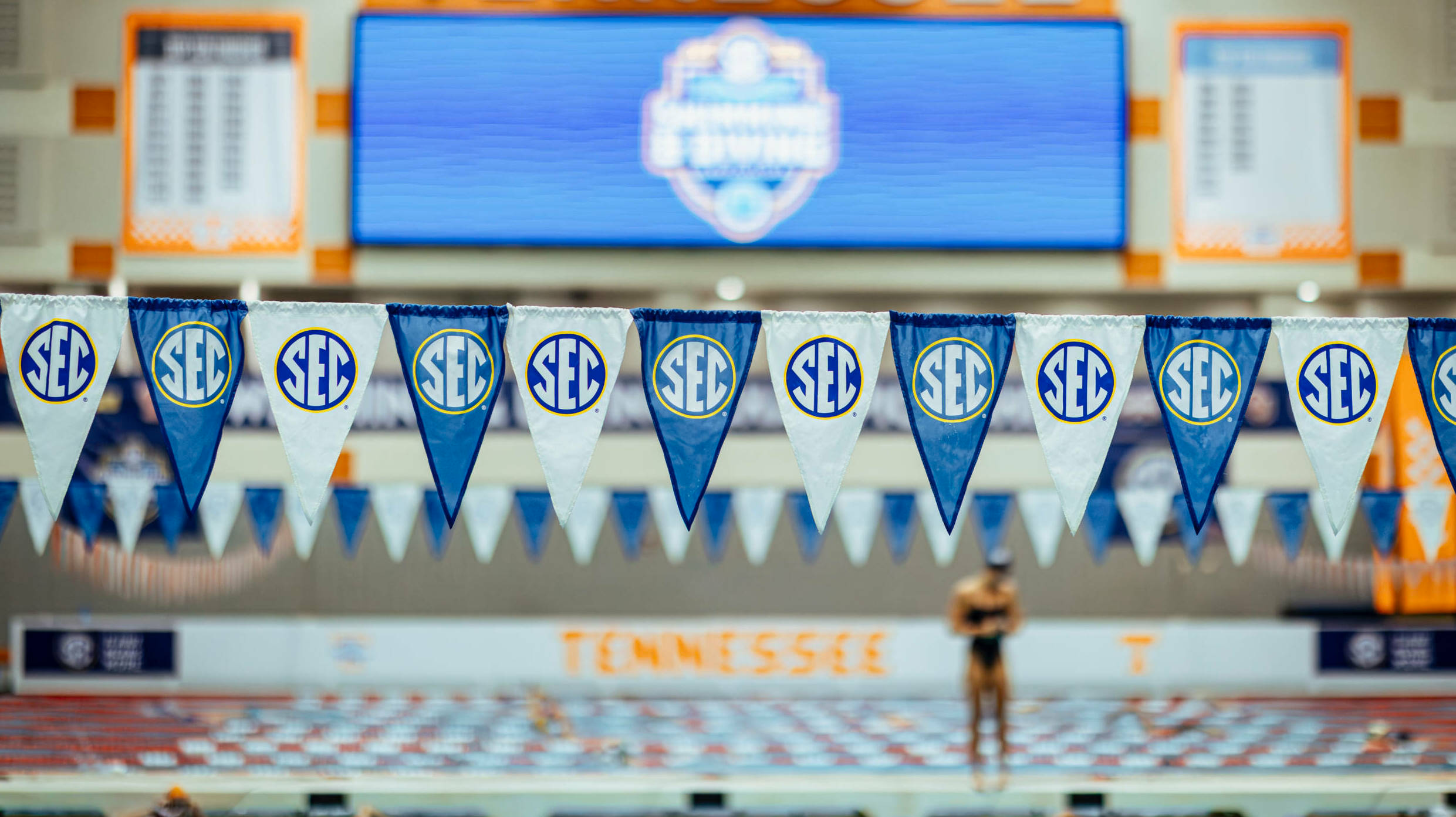 Gamecocks at SEC Swimming and Diving Daily Updates
