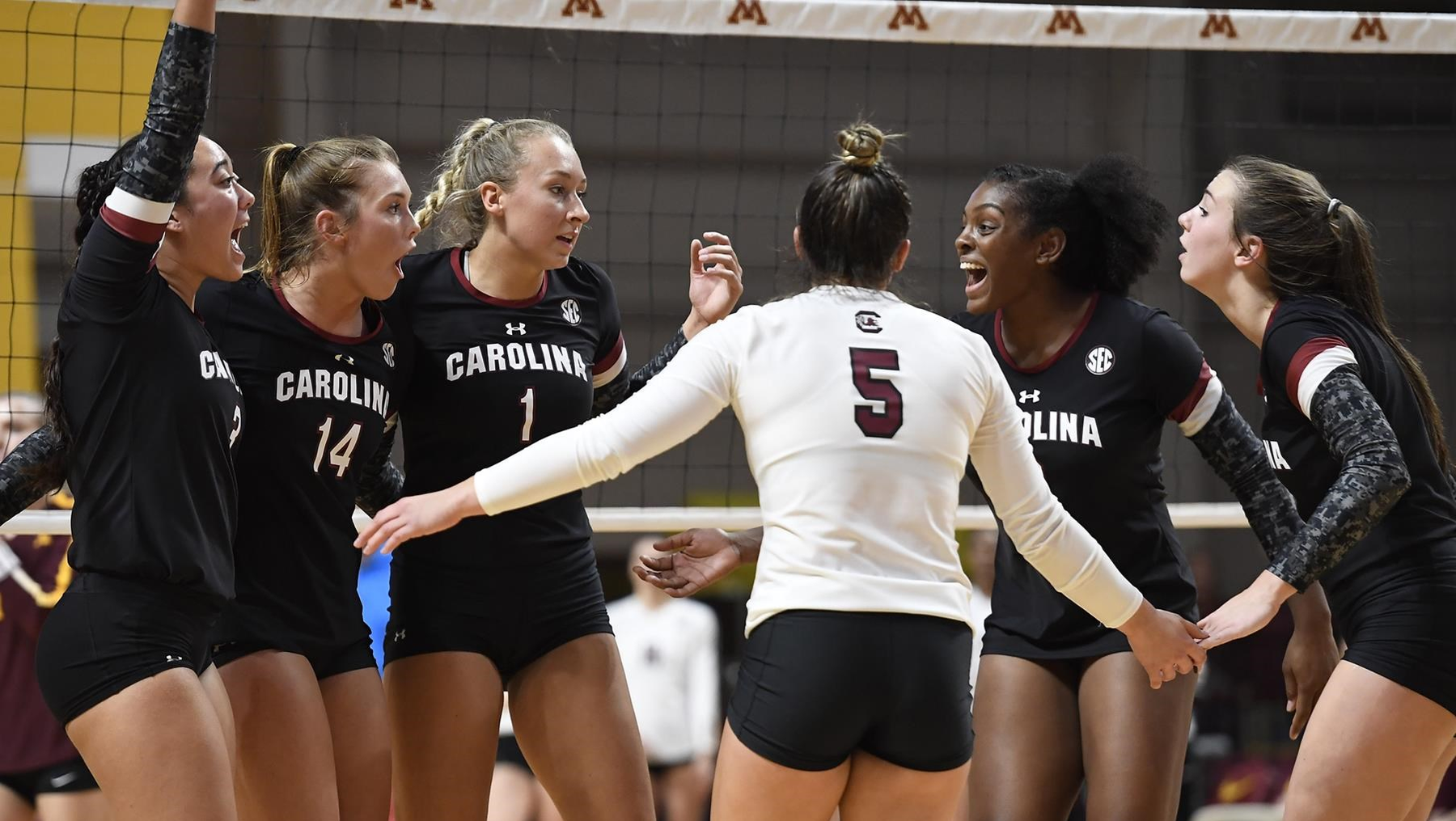 Gamecocks Fall to No. 2 Minnesota in the NCAA Tournament