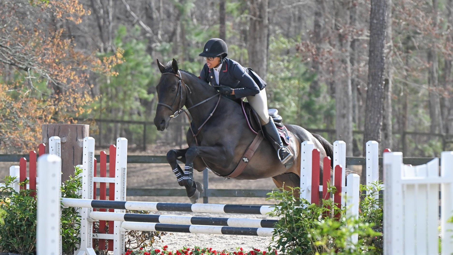 Steve Irwin Awarded NCEA Horse of the Month Honors
