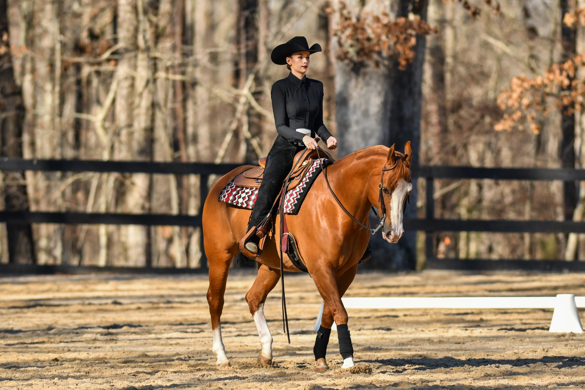 No. 3 Gamecocks Host Top-Ranked Auburn on Equifest Kids Day