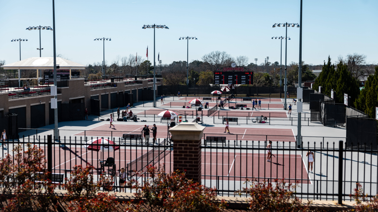 University of South Carolina Athletics