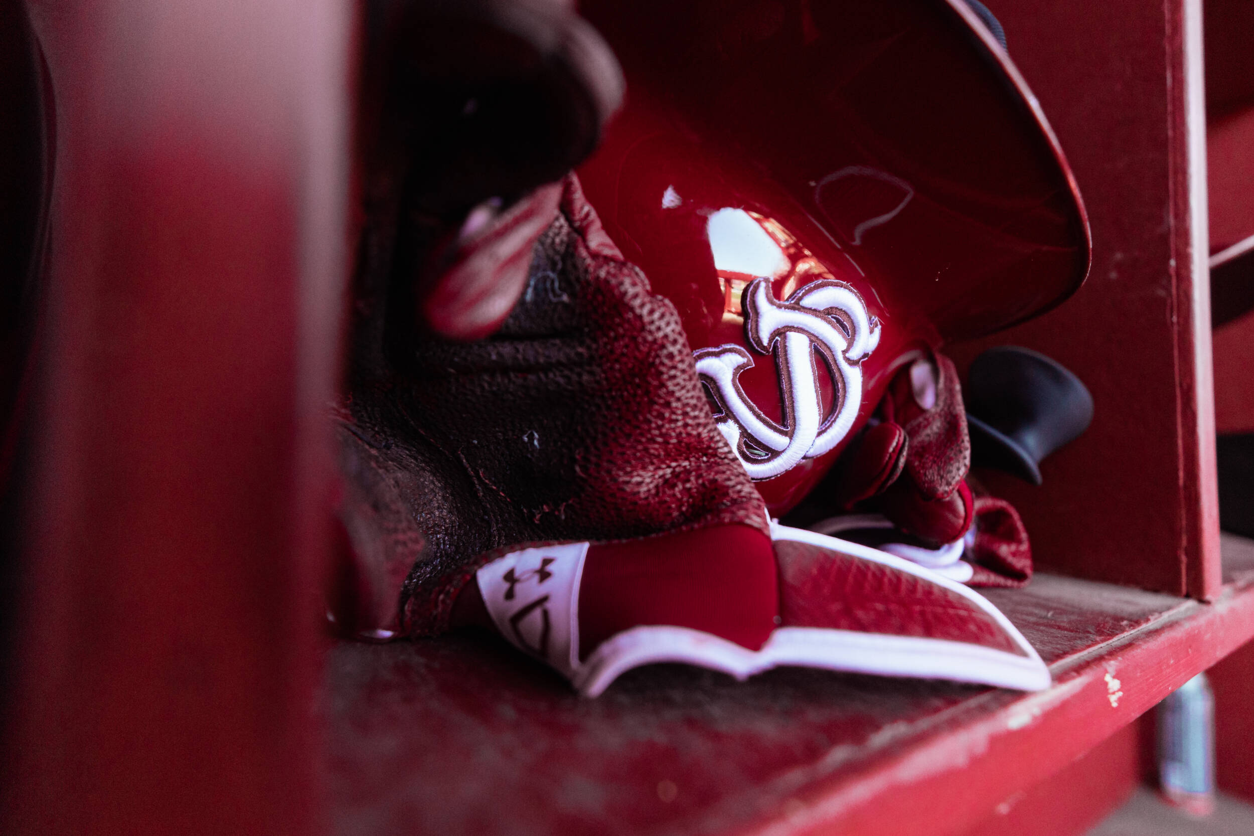 Baseball Announces Newcomers for 2026 Season