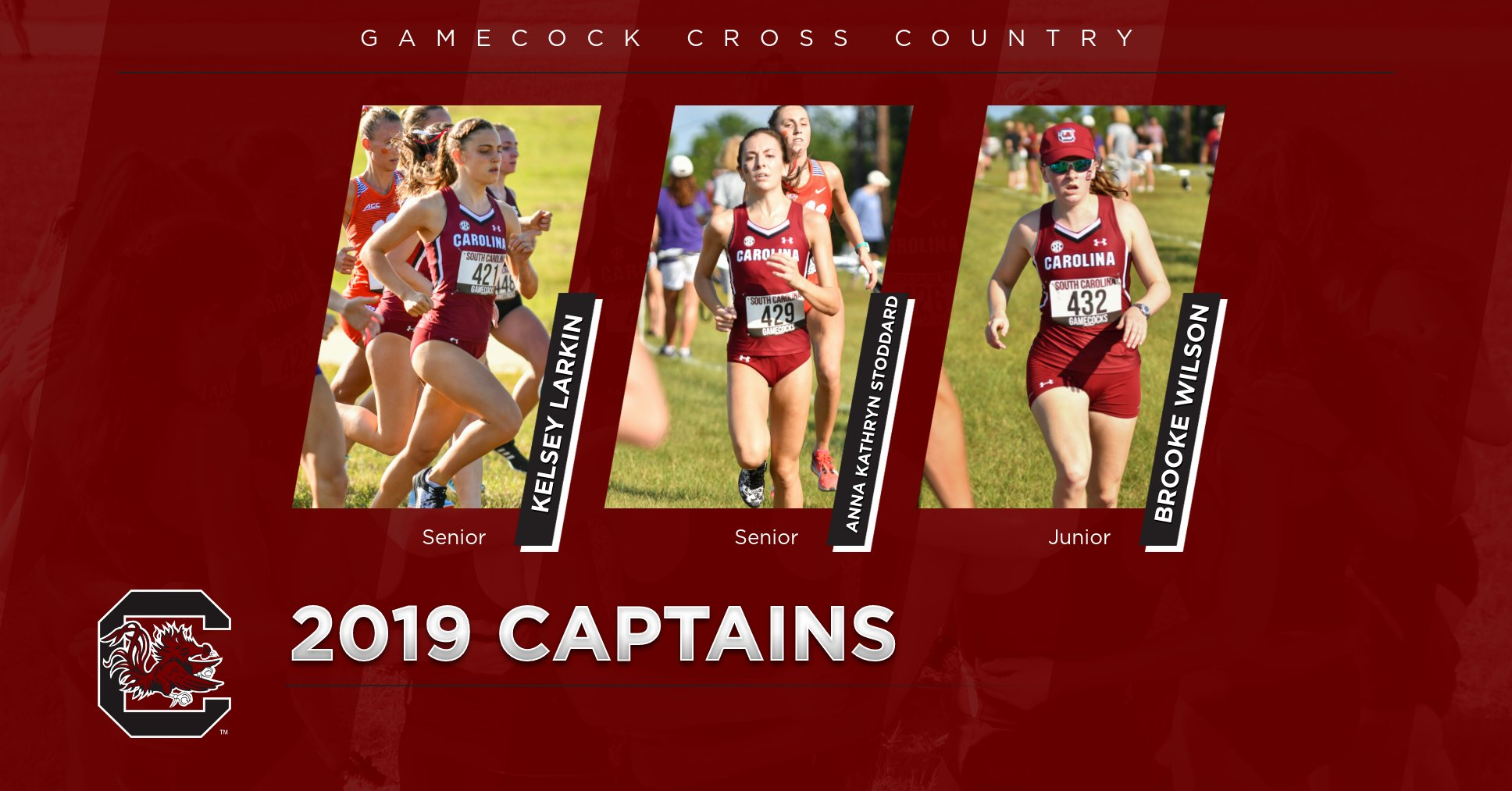 Larkin, Stoddard and Wilson Named 2019 Captains