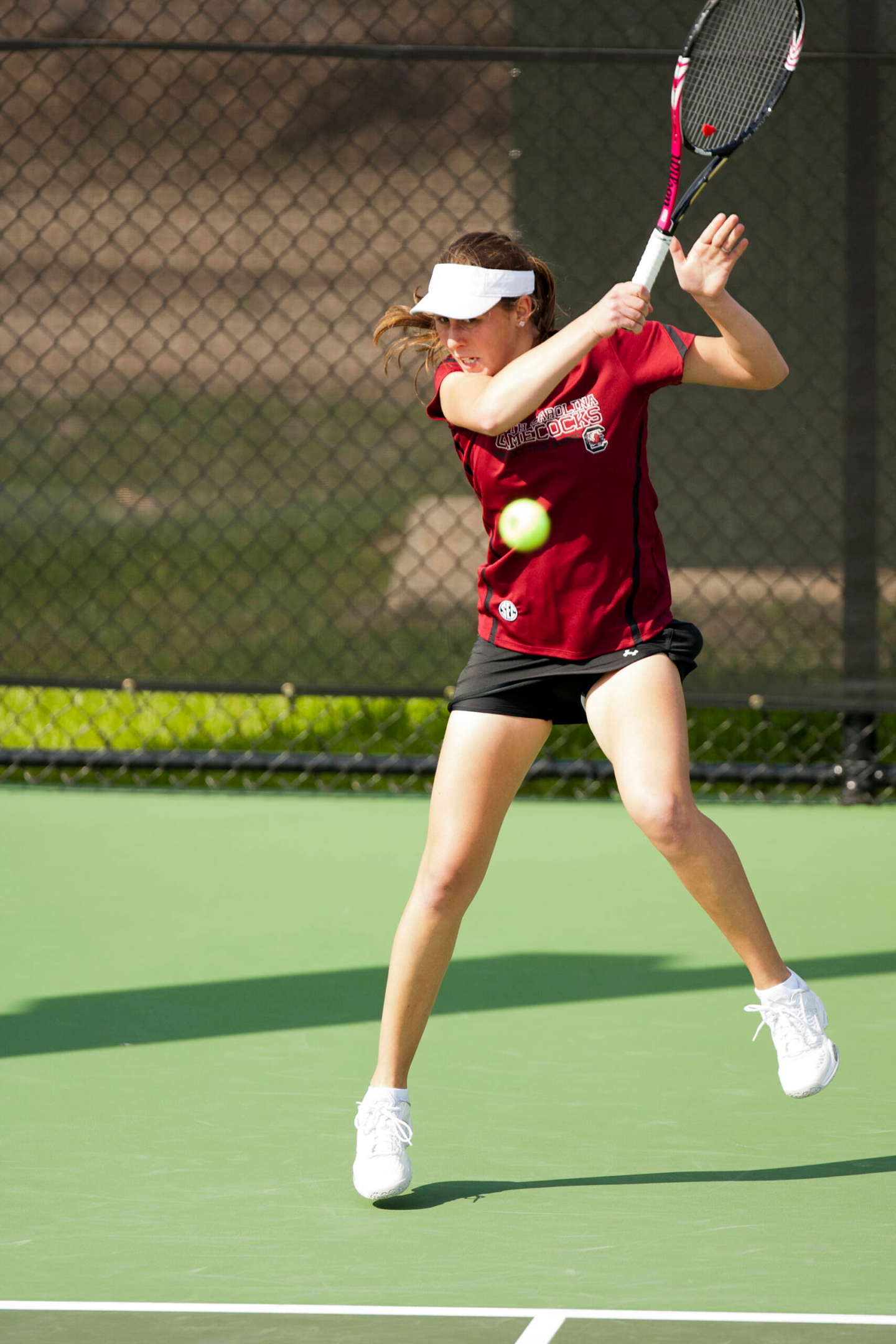 South Carolina vs. Clemson (2/22/2012)