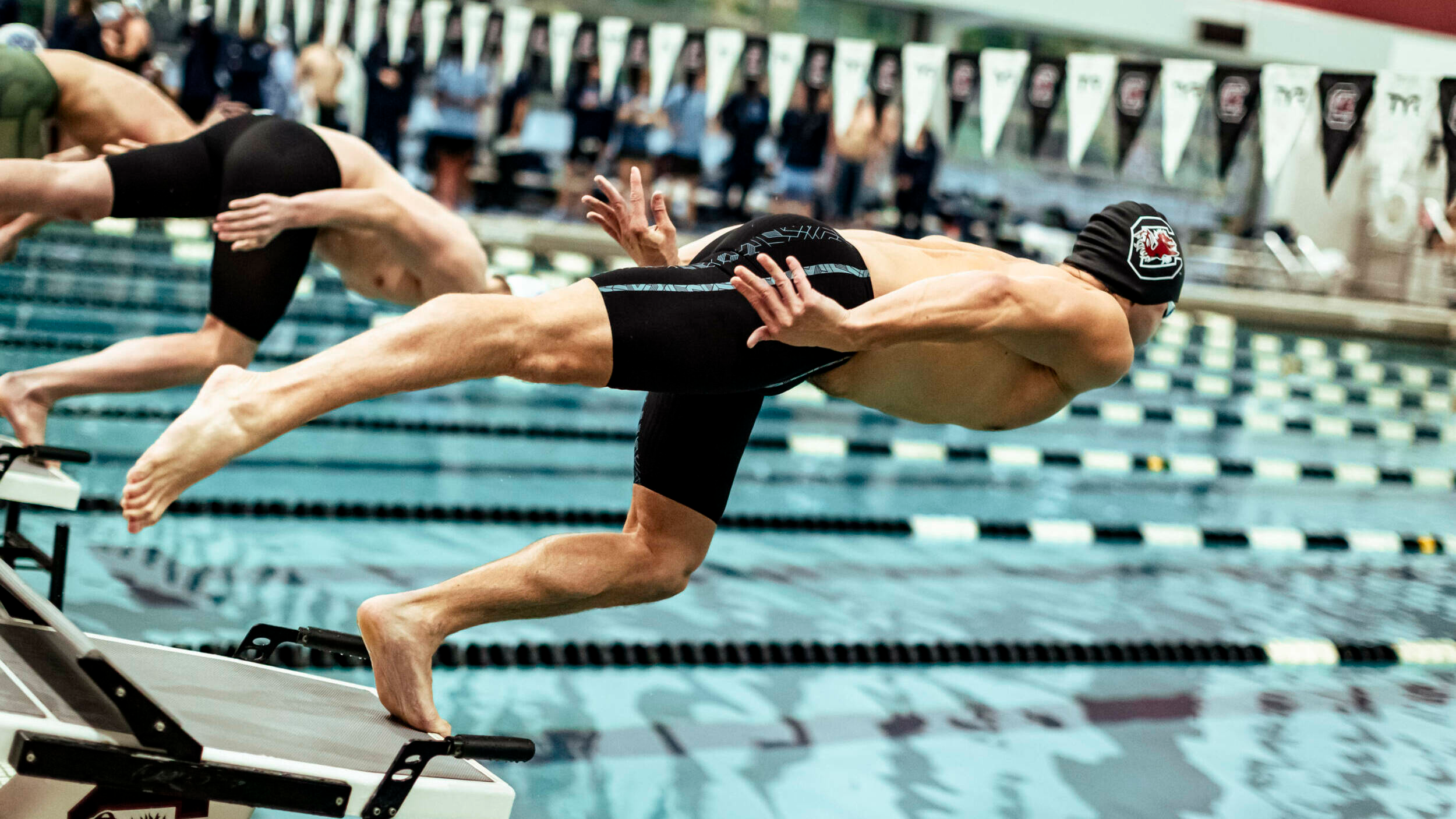 Gamecocks Prep for Midseason Invitationals