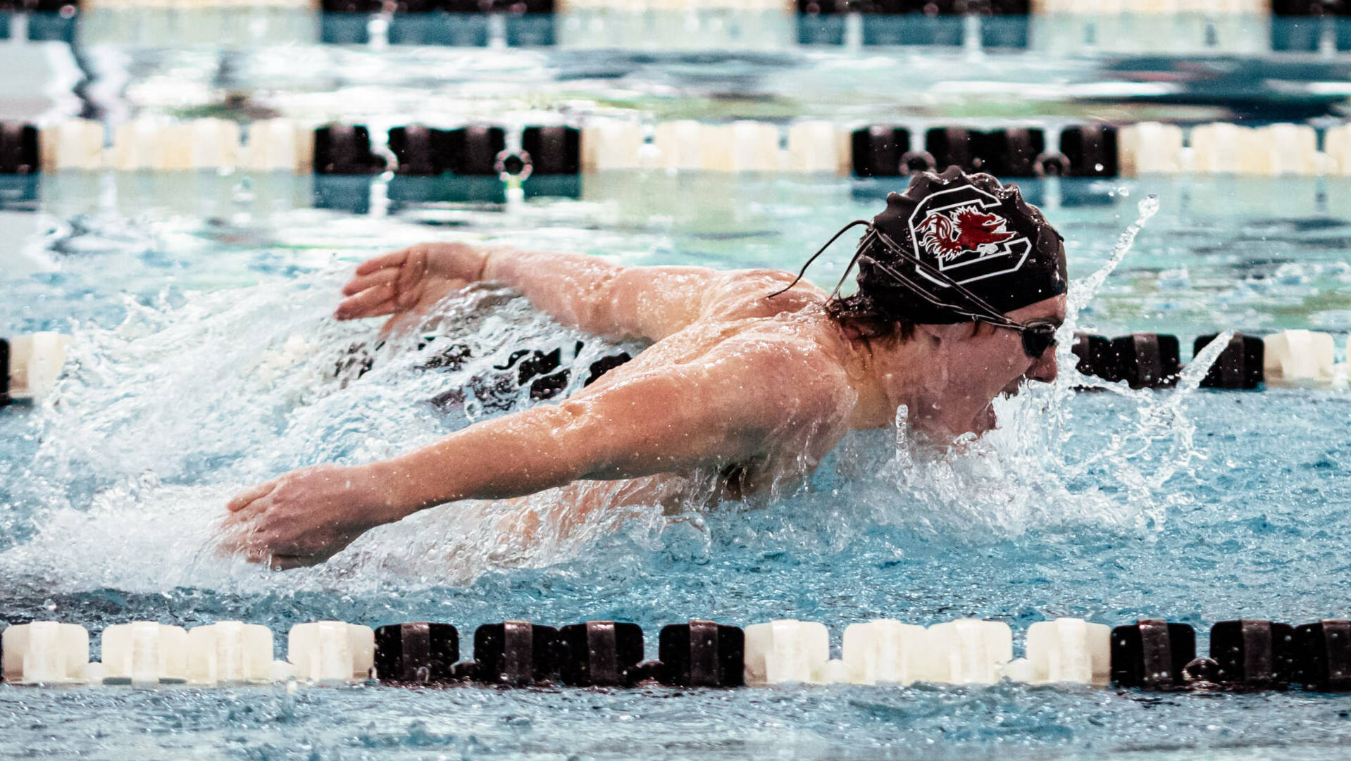 Swimming and Diving Opens Season at Home vs. Georgia