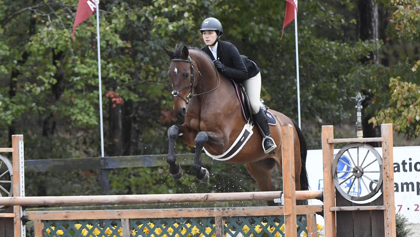 No. 4 Gamecocks Host No. 5 Aggies for Equifest Meet