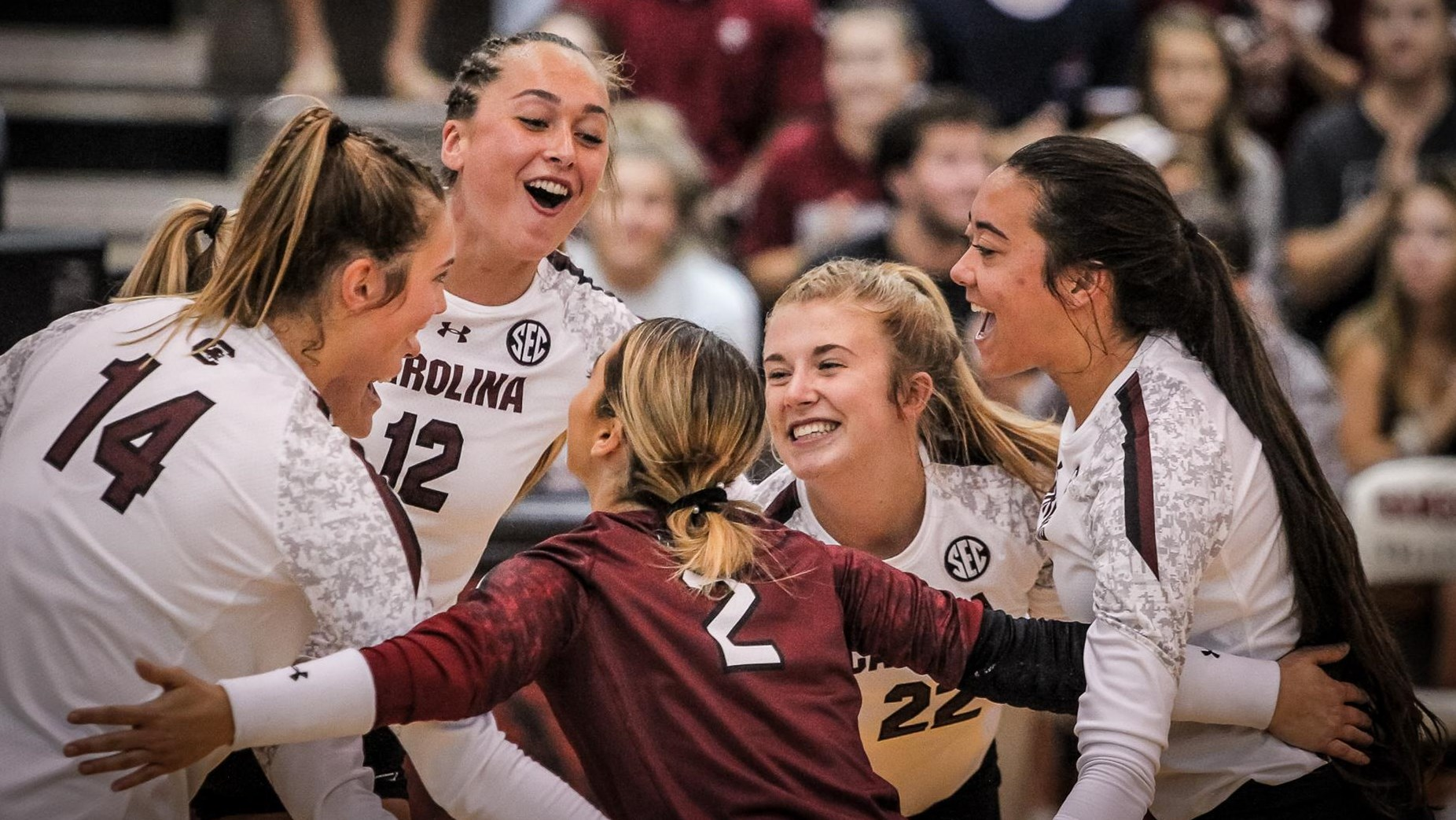 Volleyball Faces Two SEC Road Tests