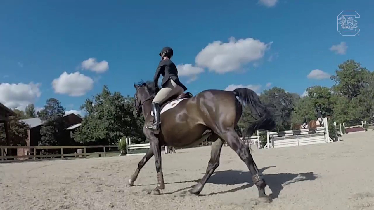 2017 Equestrian Hype Video