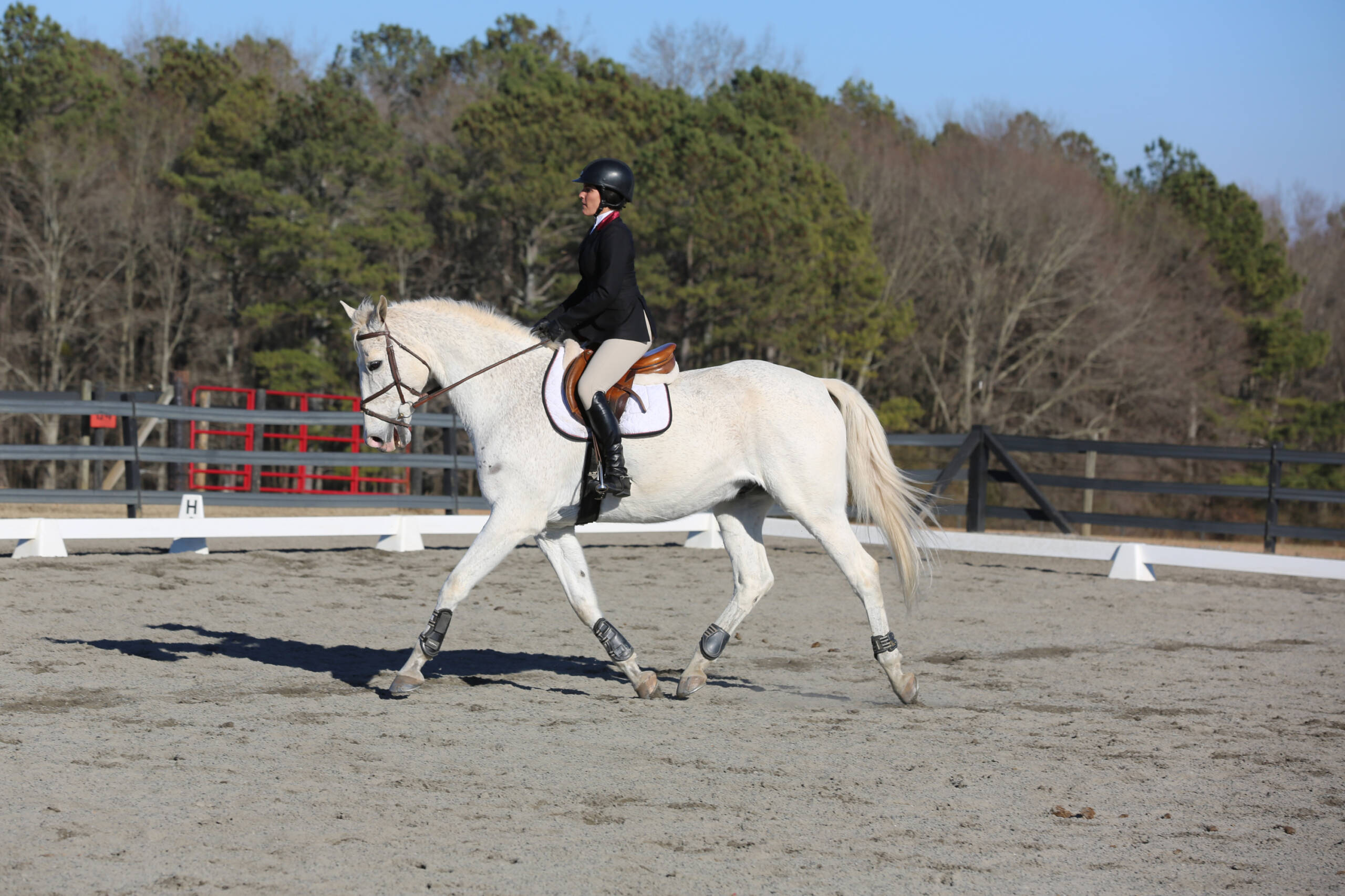 Former Gamecock Alexa Anthony Leading StableGuard