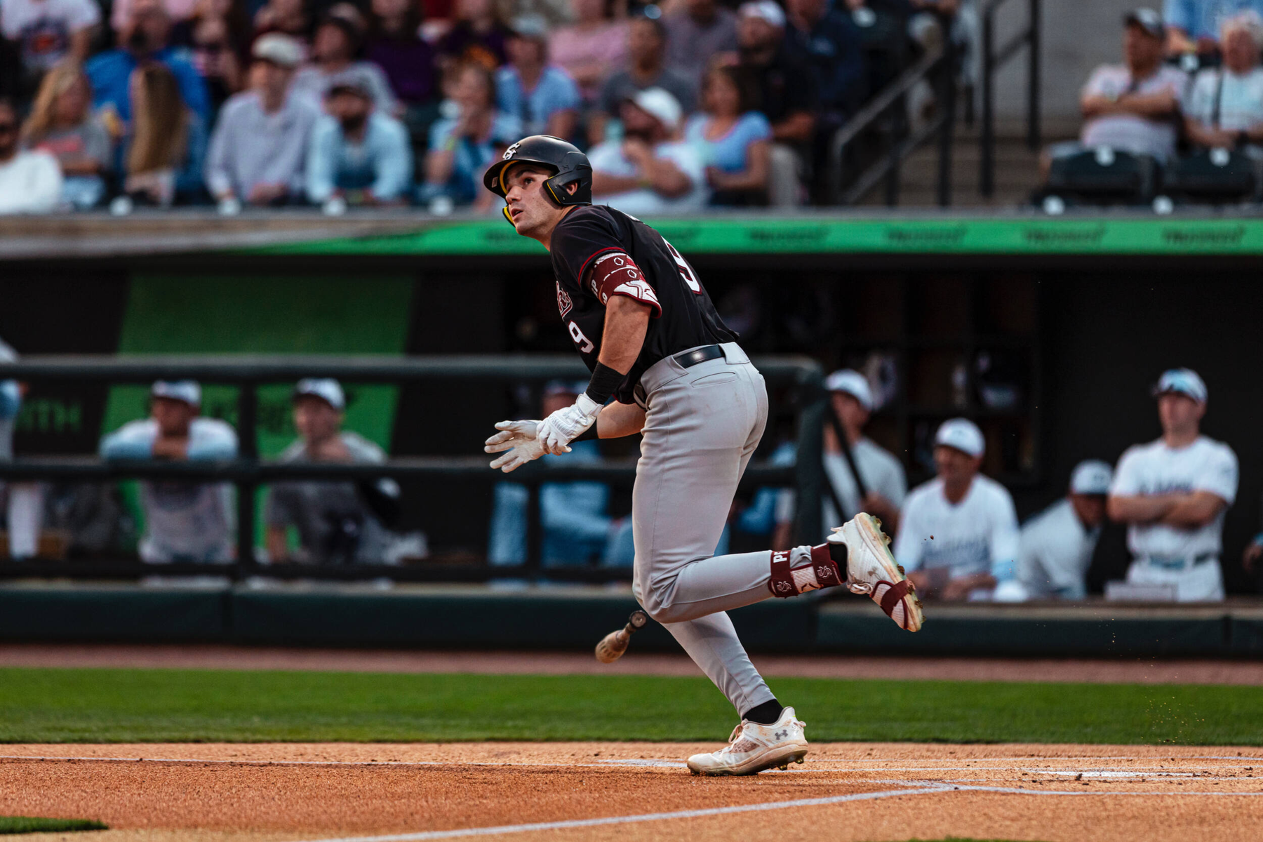 Baseball Falls to The Citadel