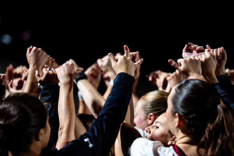 University of South Carolina Athletics