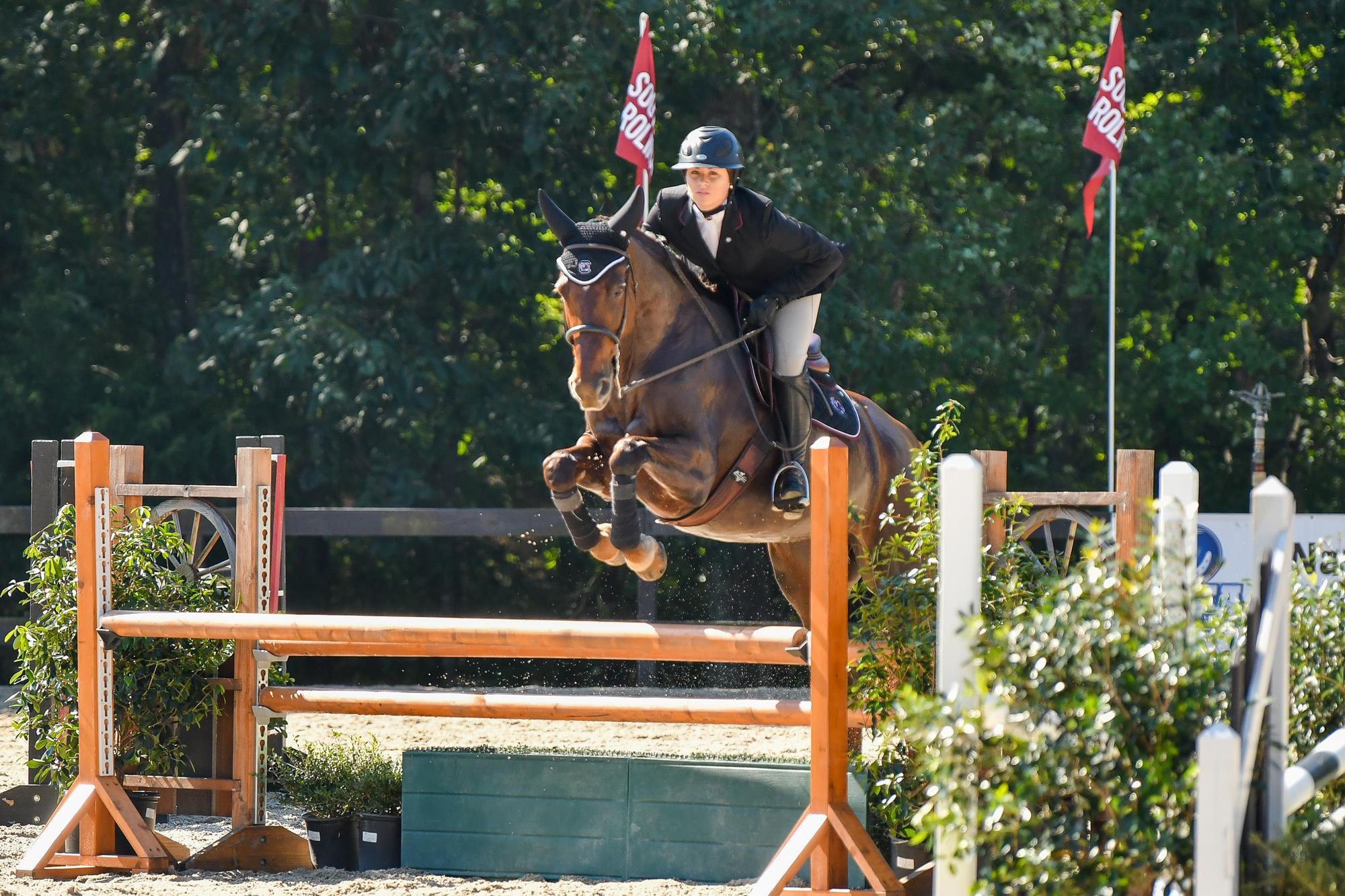 No. 4 Carolina Downs No. 6 TCU, 13-5