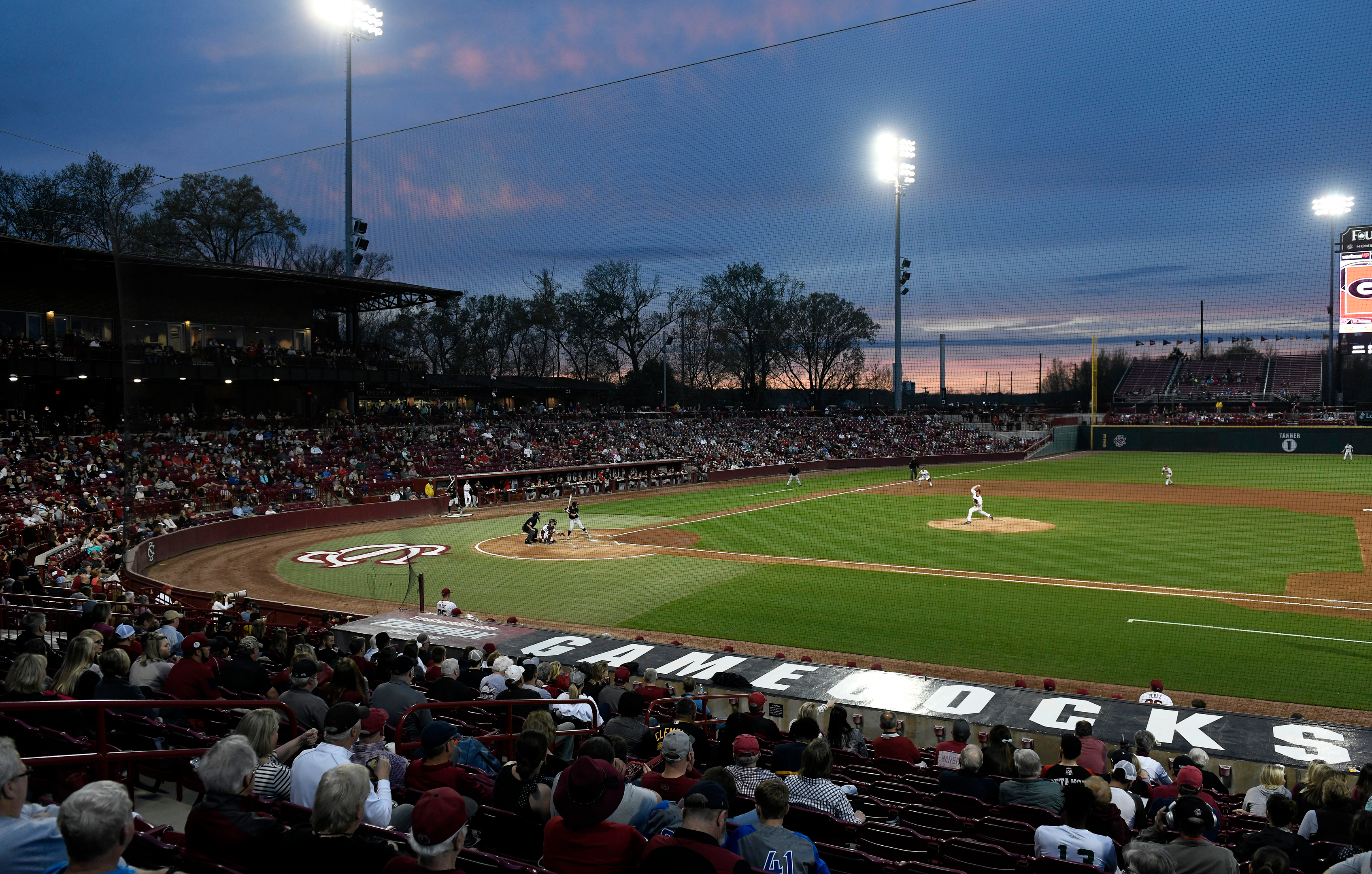 Gamecock Baseball Notebook