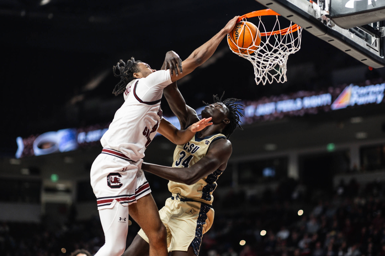 University of South Carolina Athletics